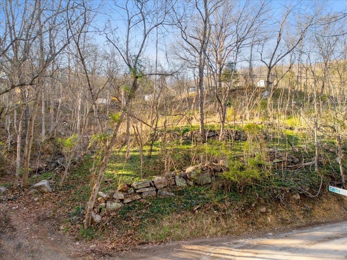 Tbd Castle Road Christiansburg VA 24073