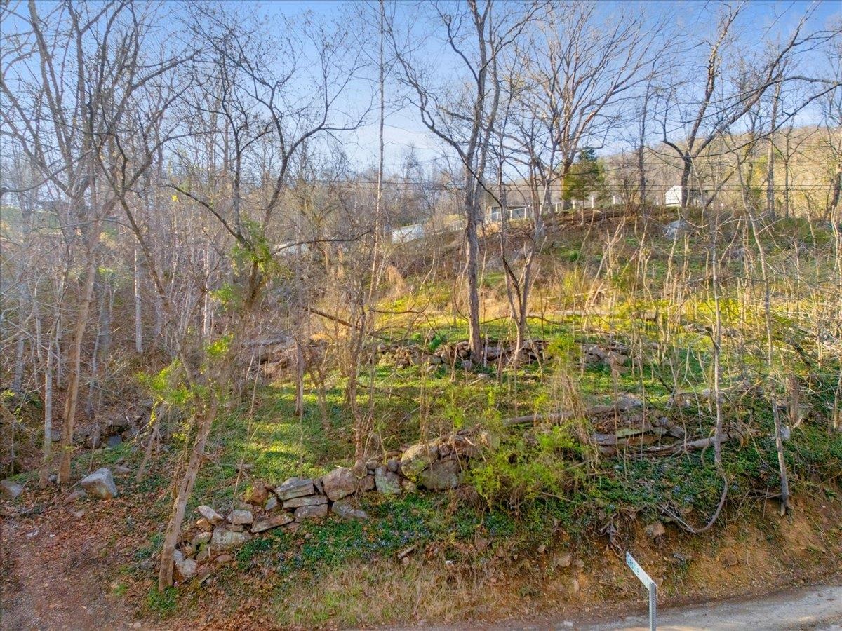 Tbd Castle Road Christiansburg VA 24073