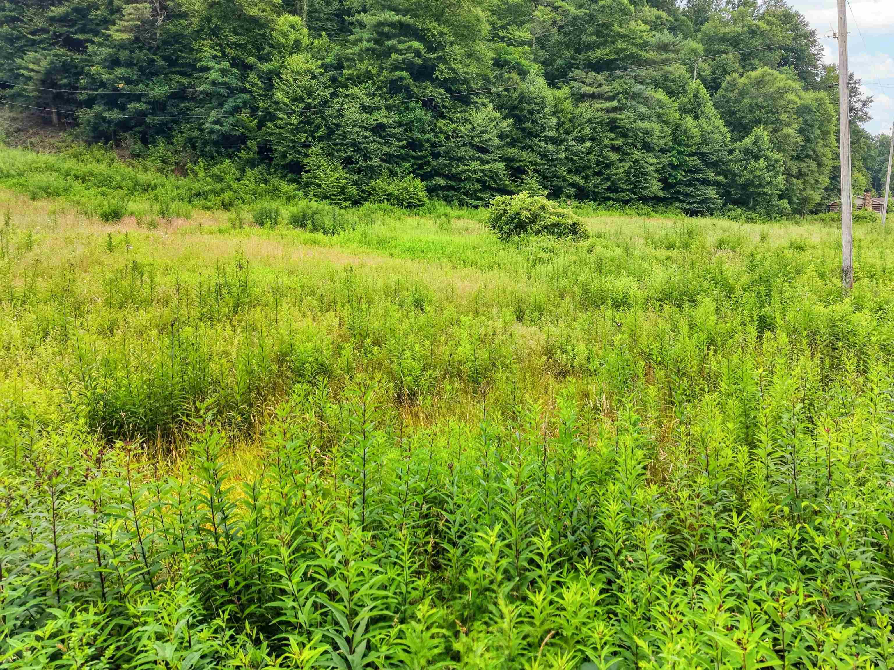 Tbd Snake Creek Road Hillsville VA 24343