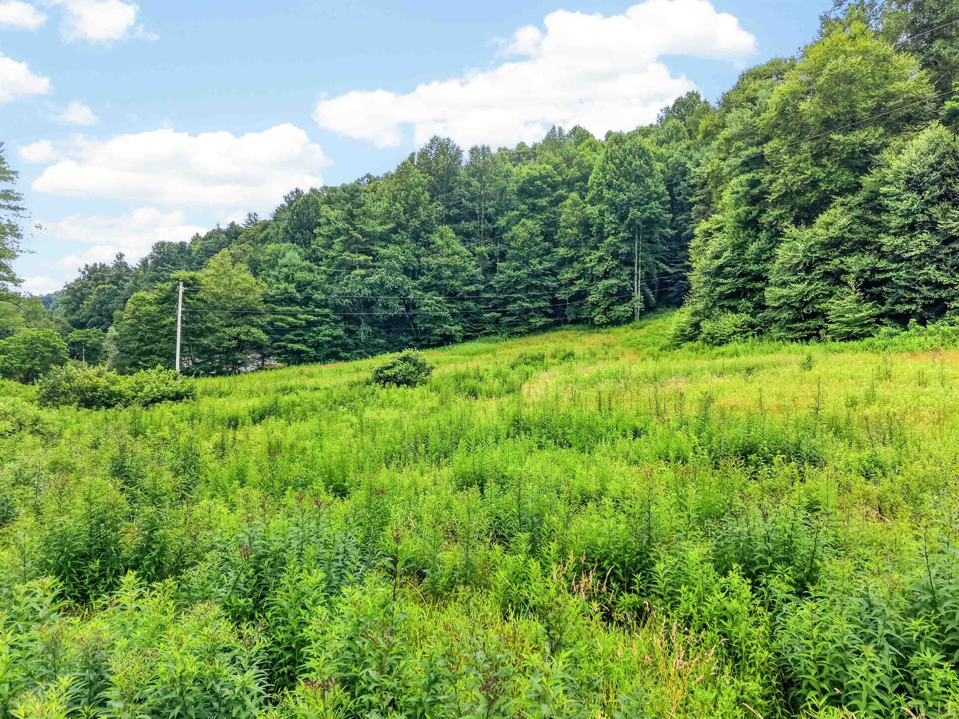 Tbd Snake Creek Road Hillsville VA 24343