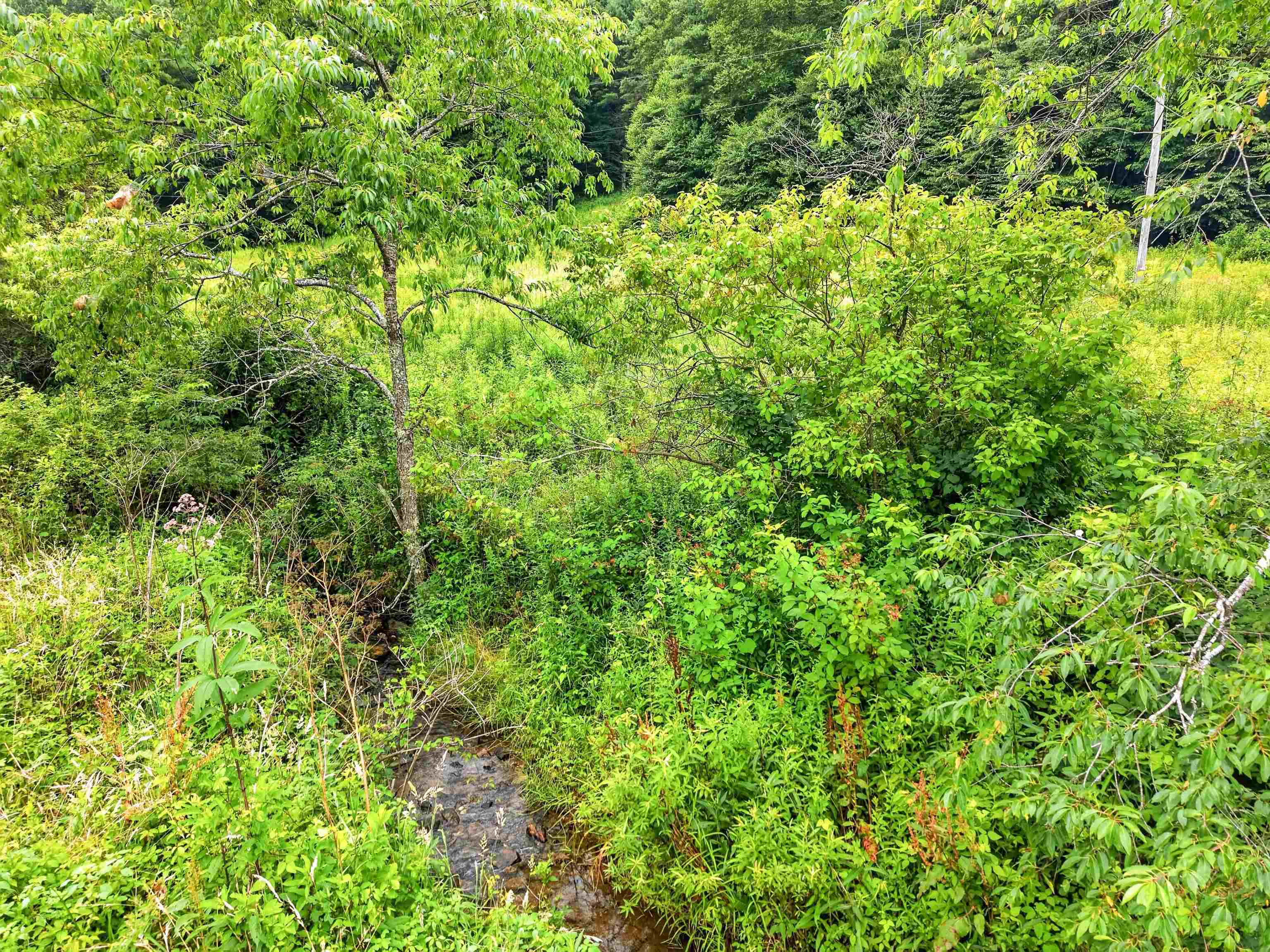Tbd Snake Creek Road Hillsville VA 24343