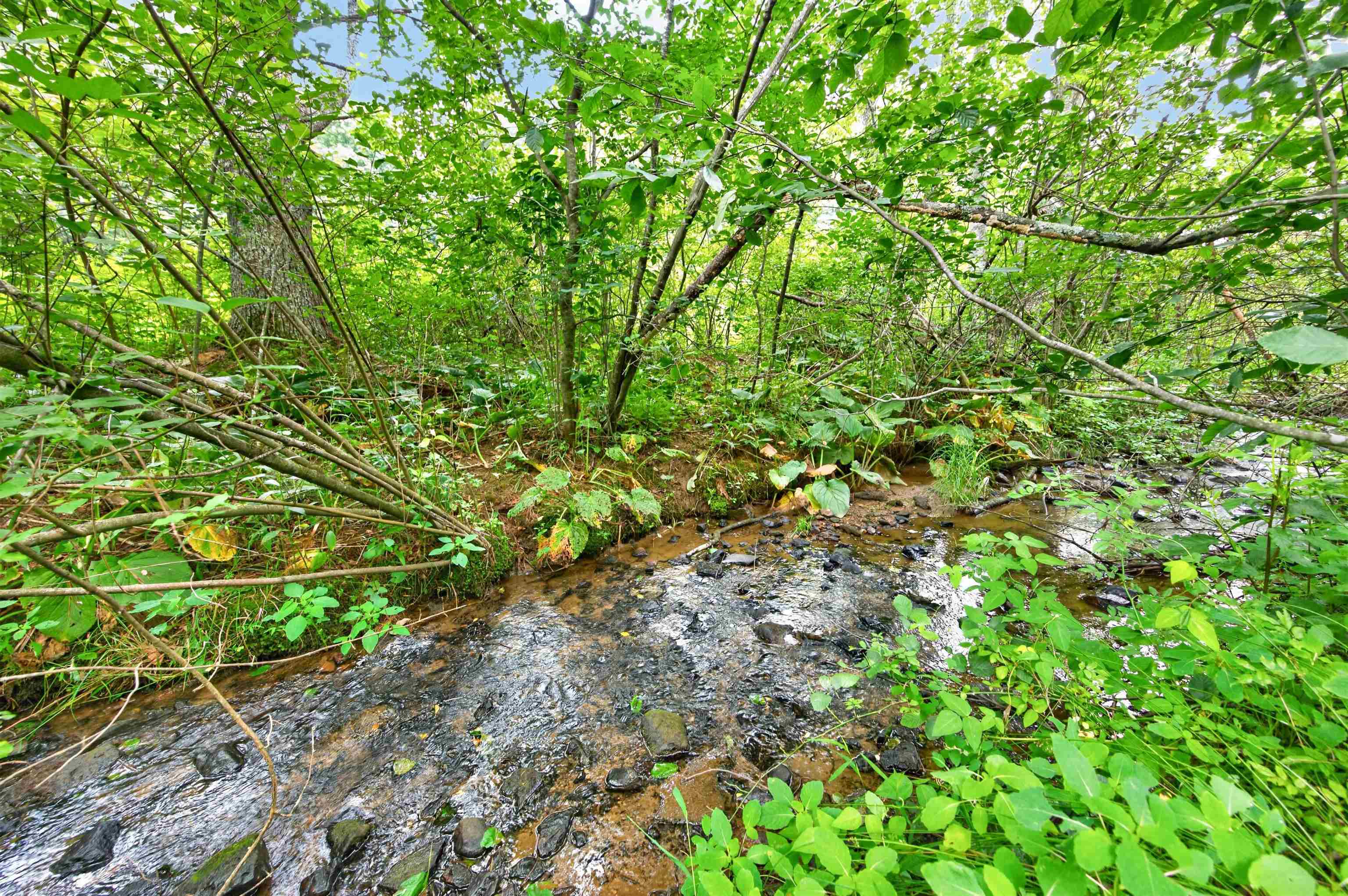 Tbd Snake Creek Road Hillsville VA 24343