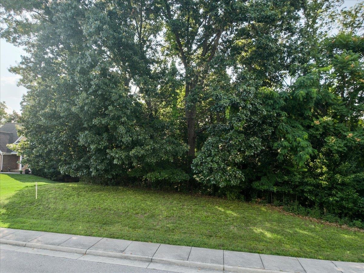 8156 River Course Drive Radford VA 24141