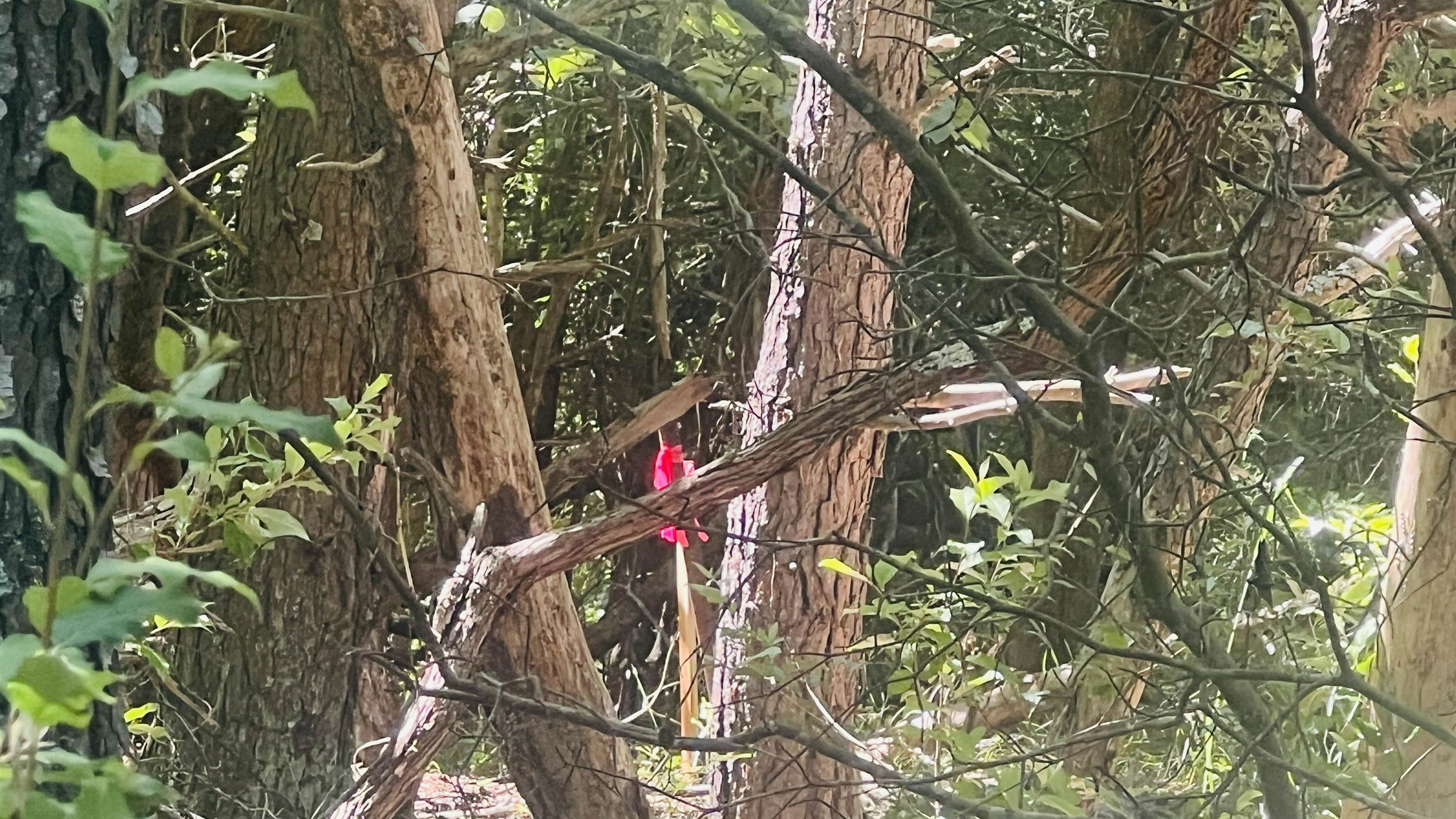 Lot 234 Appalachian Road Radford VA 24141