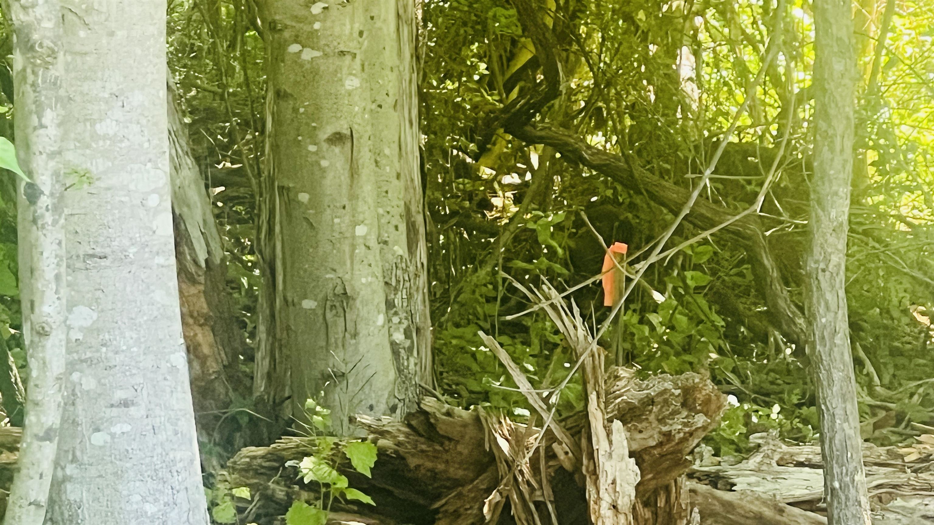 Lot 234 Appalachian Road Radford VA 24141