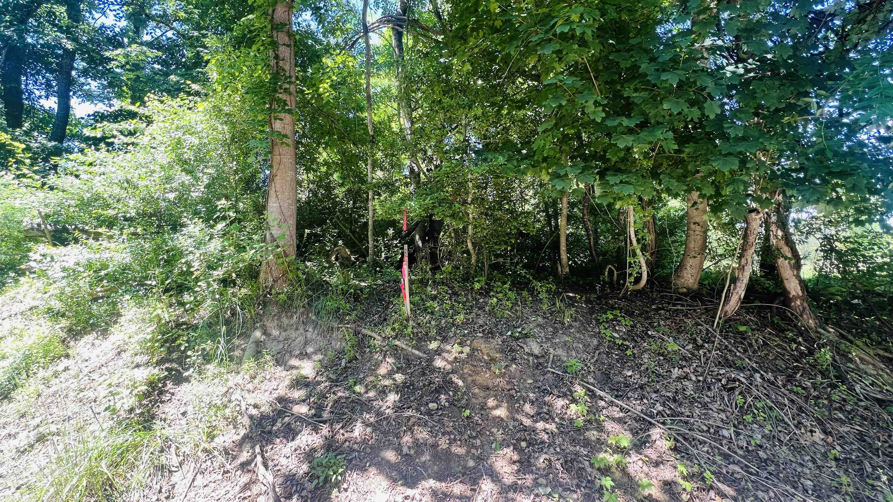 Lot 234 Appalachian Road Radford VA 24141