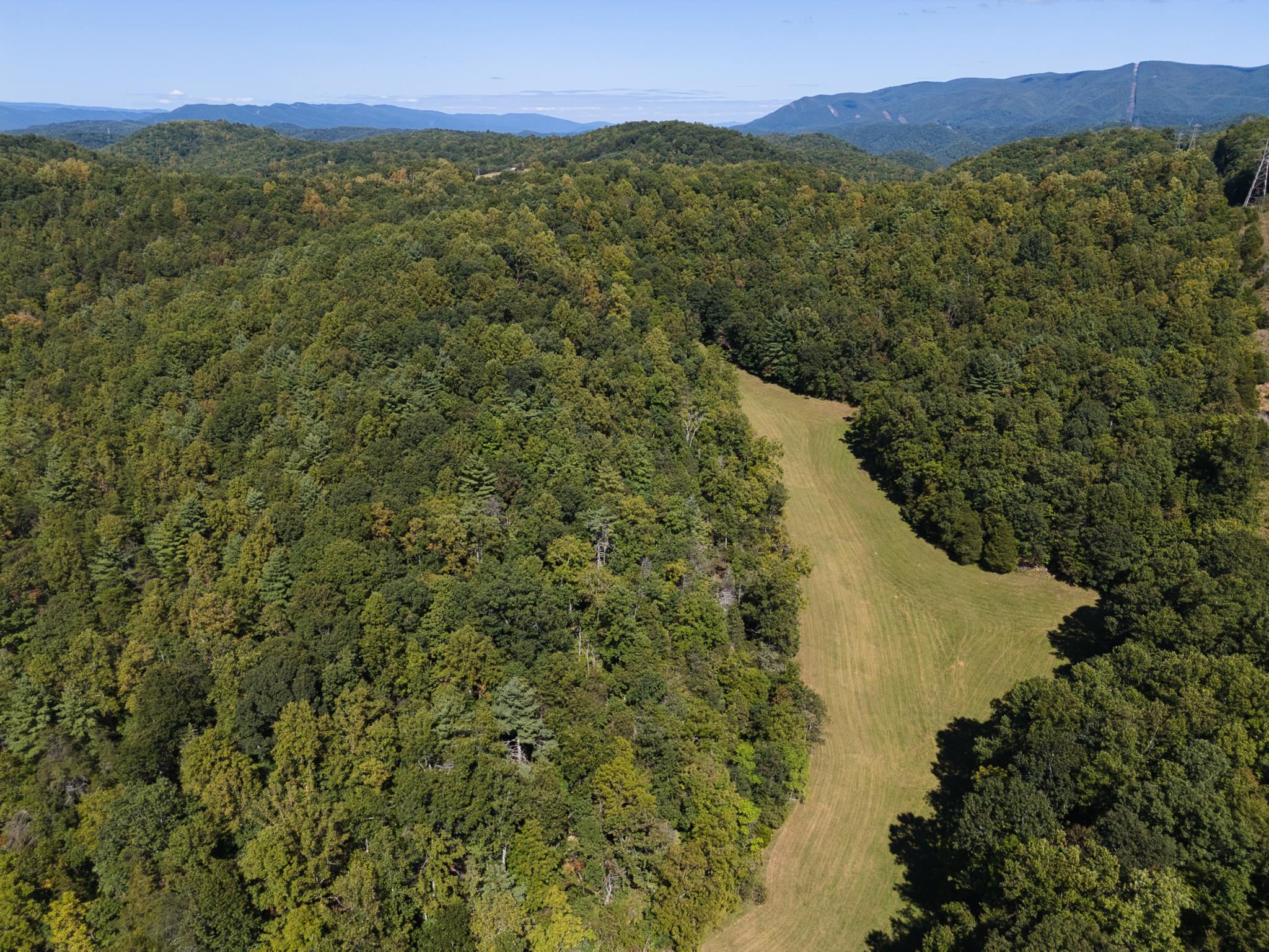 2554 Georges Run Road Shawsville VA 24162