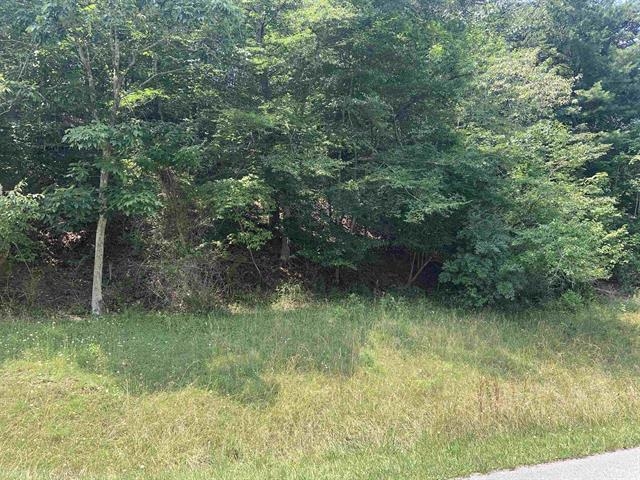 1925 Cold Mountain Road Radford VA 24141