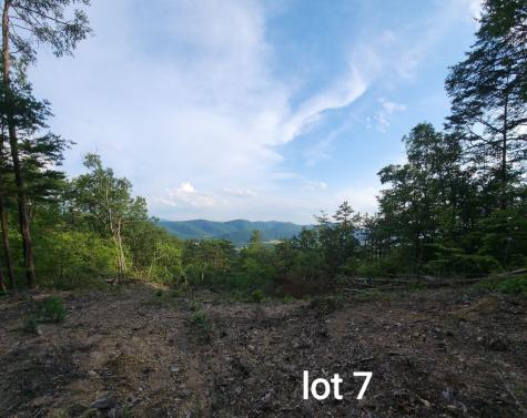 3031 Reese Mountain Road Elliston VA 24087