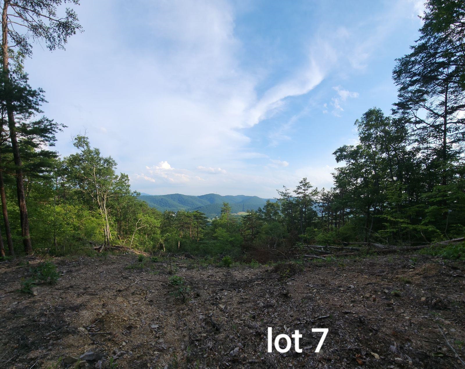 3031 Reese Mountain Road Elliston VA 24087