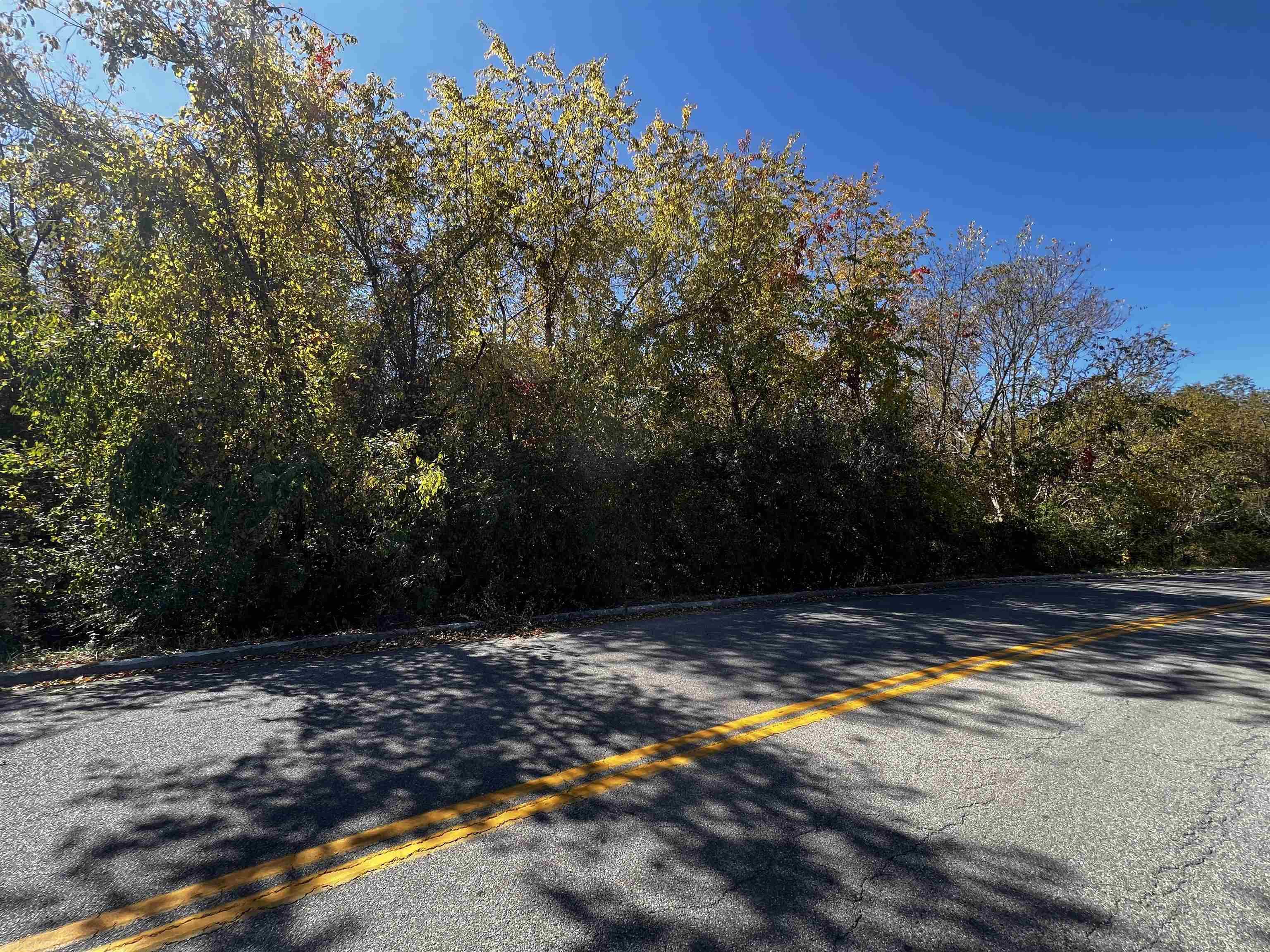 Tbd Lee Highway Pulaski VA 24301