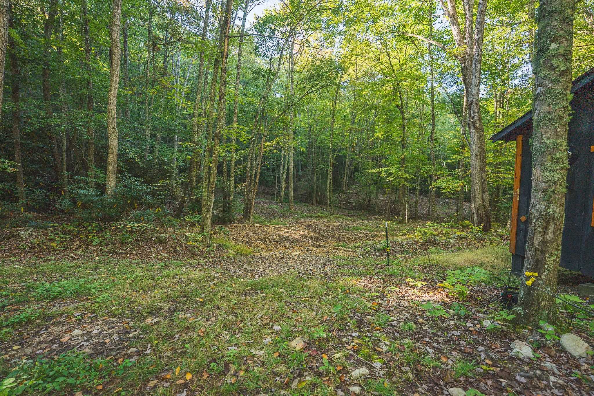Tbd Gator Mountain Road Hiwassee VA 24347