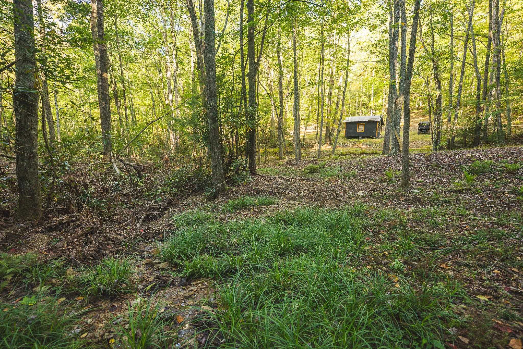 Tbd Gator Mountain Road Hiwassee VA 24347