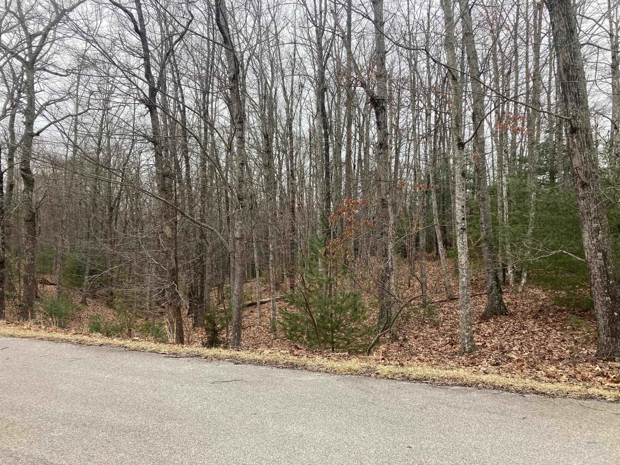 1262 Treetop Ridge Road Blacksburg VA 24060