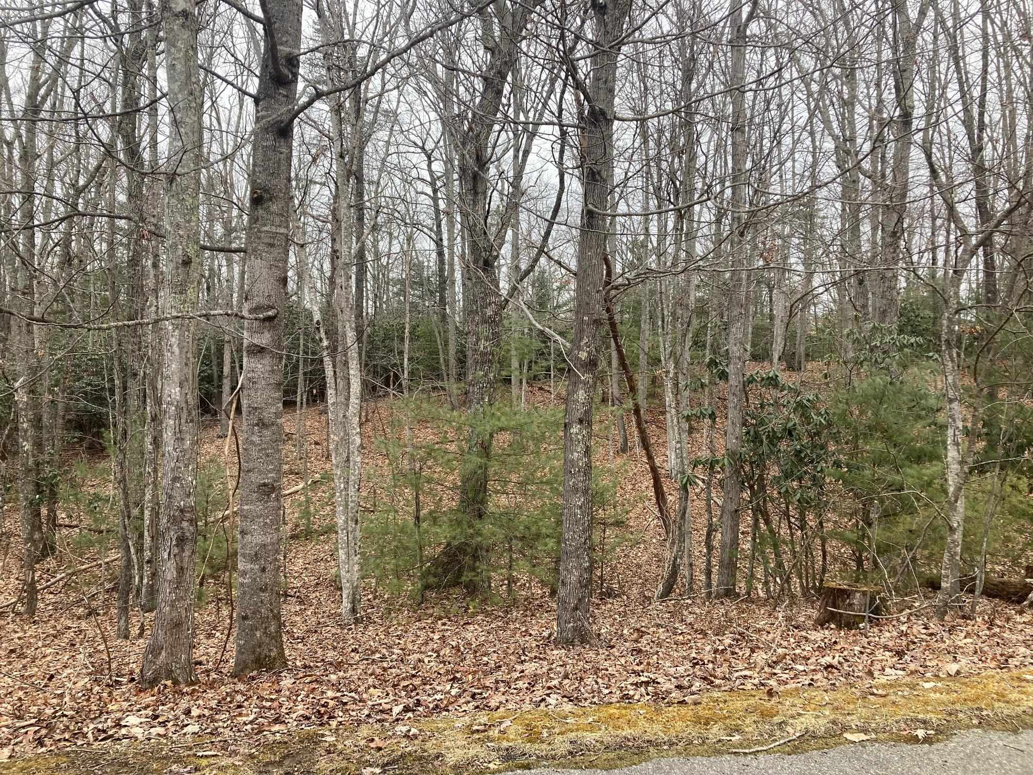 1262 Treetop Ridge Road Blacksburg VA 24060