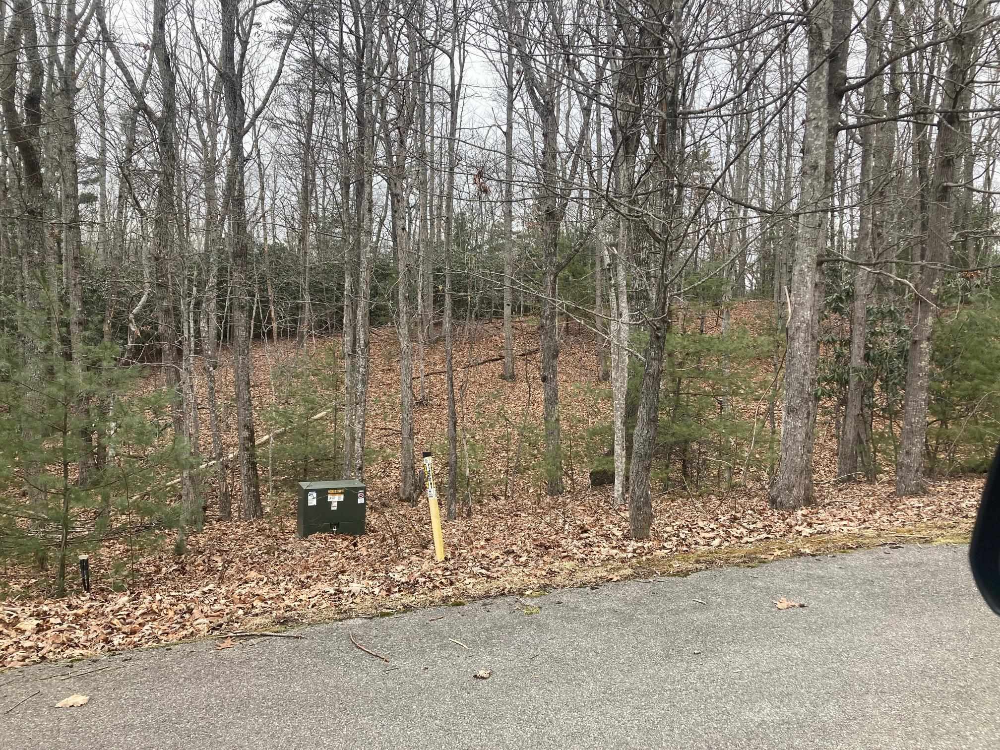 1262 Treetop Ridge Road Blacksburg VA 24060