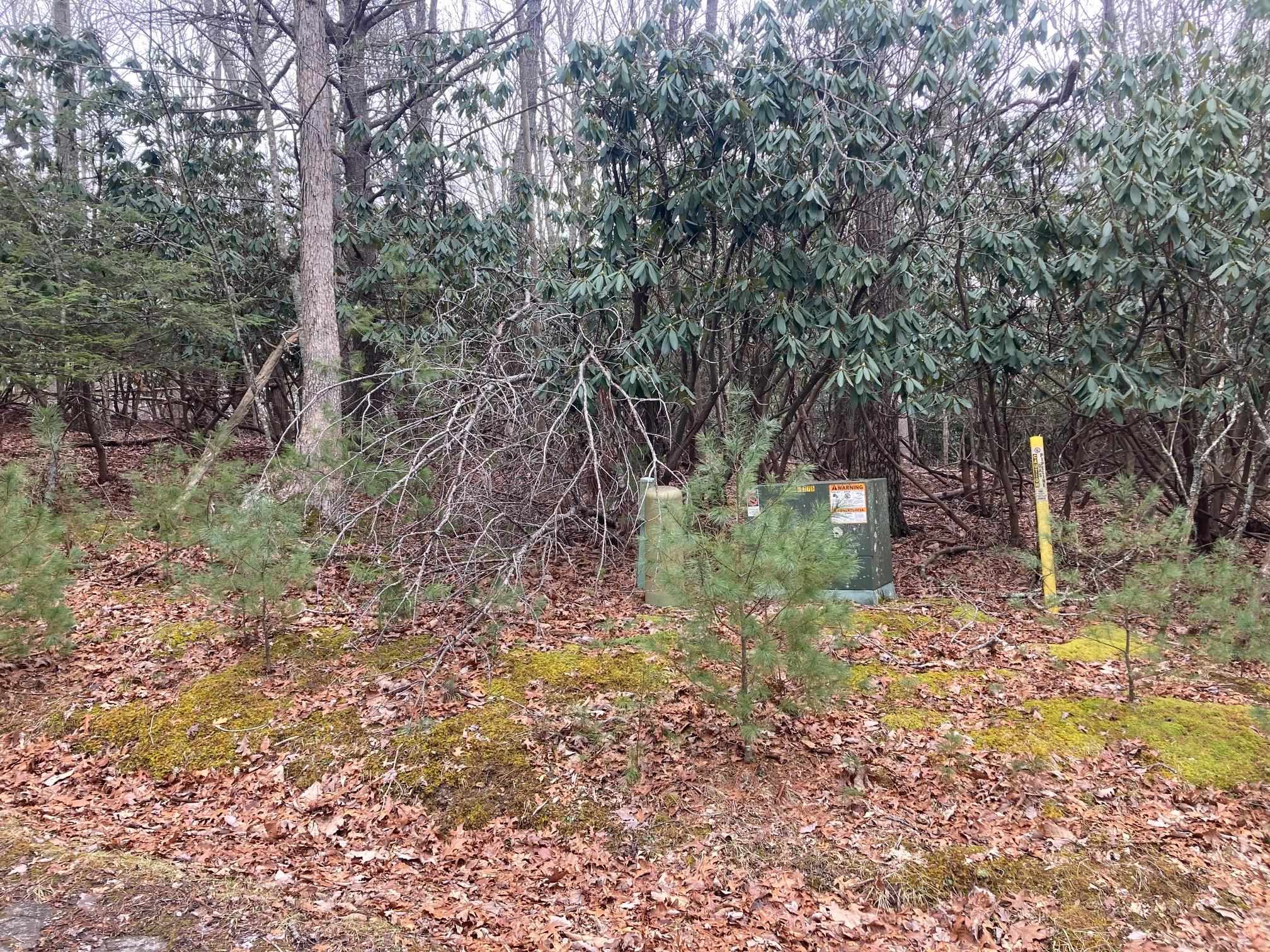 1262 Treetop Ridge Road Blacksburg VA 24060