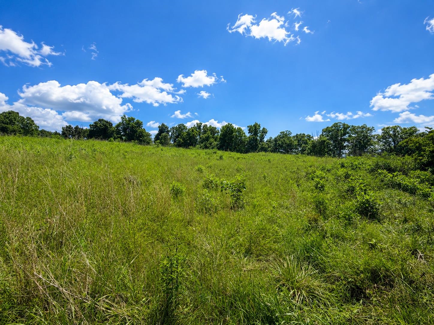Lot 5 Green Tree Road Pembroke VA 24136