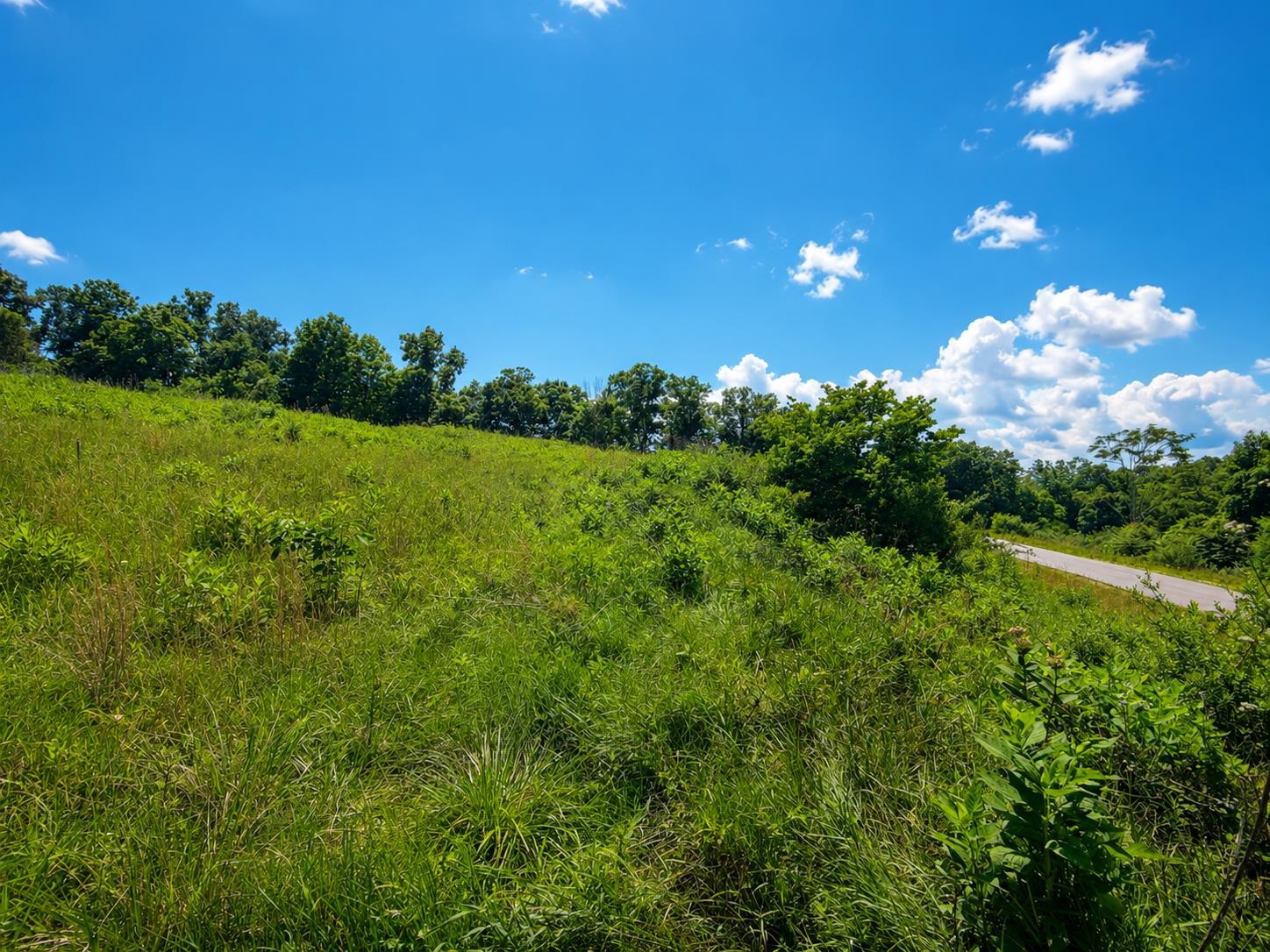 Lot 5 Green Tree Road Pembroke VA 24136