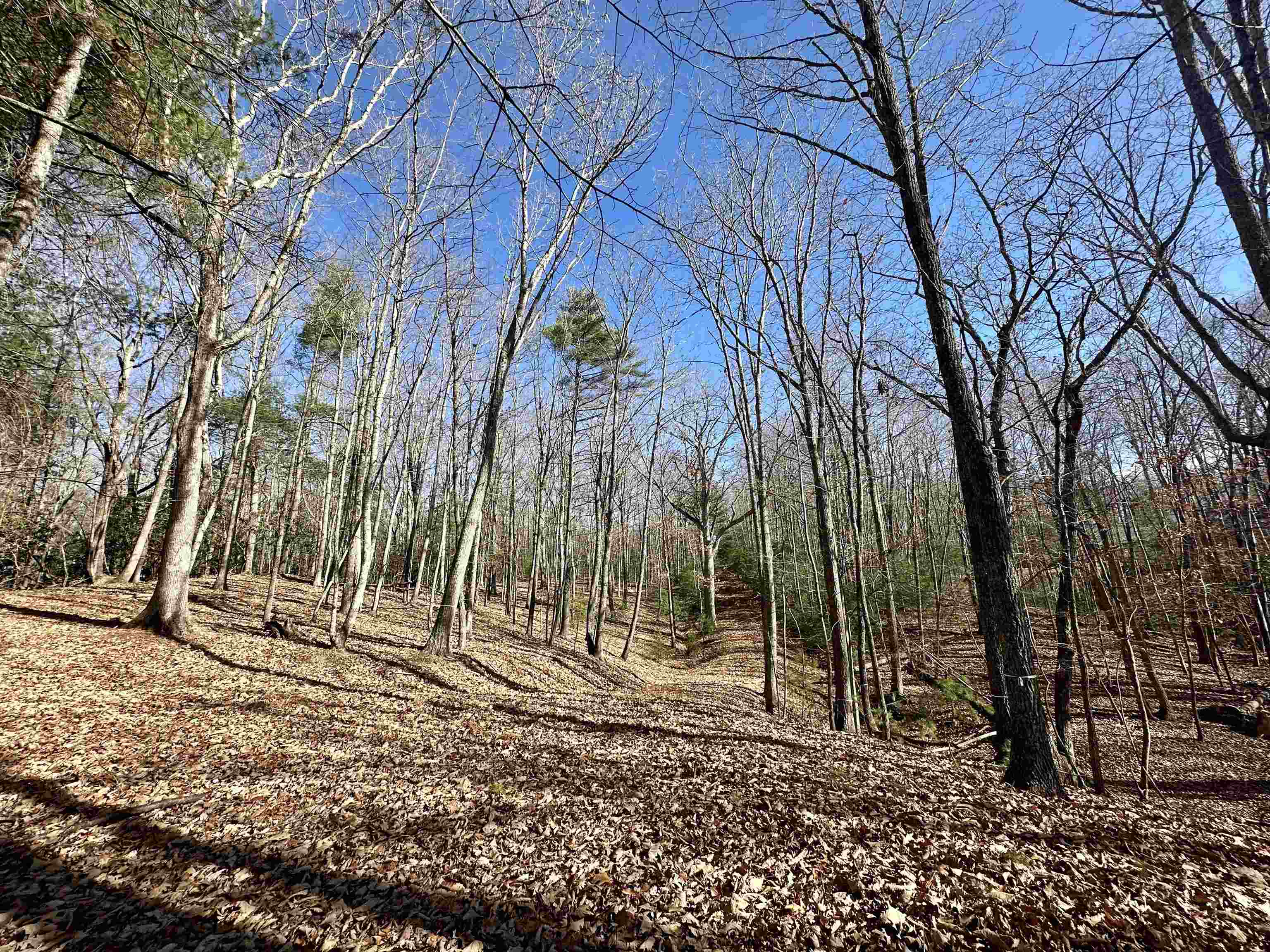 Blacksburg VA, 1258 Treetop Ridge Road