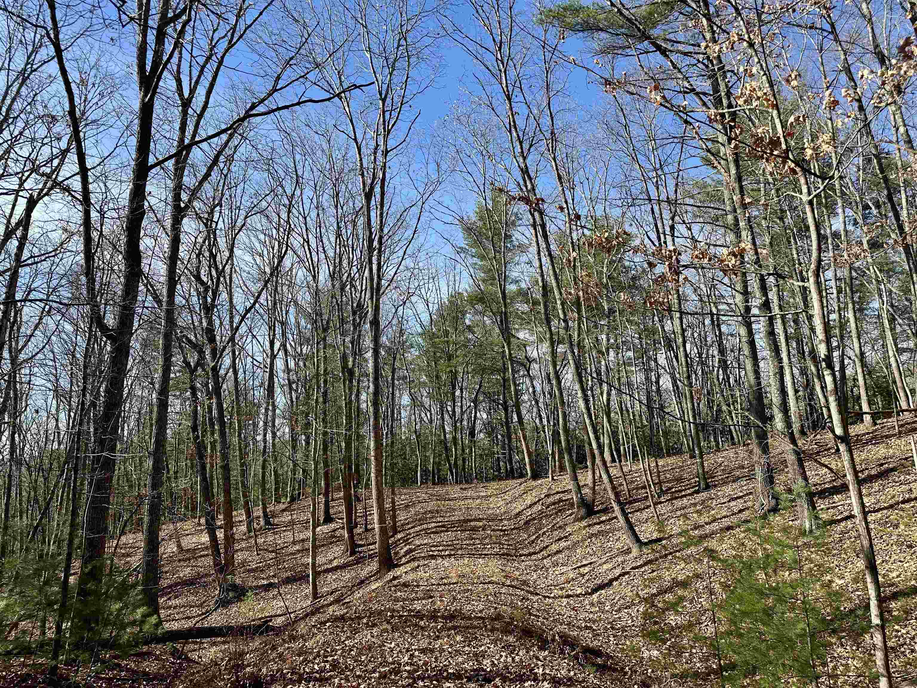 1258 Treetop Ridge Road Blacksburg VA 24060