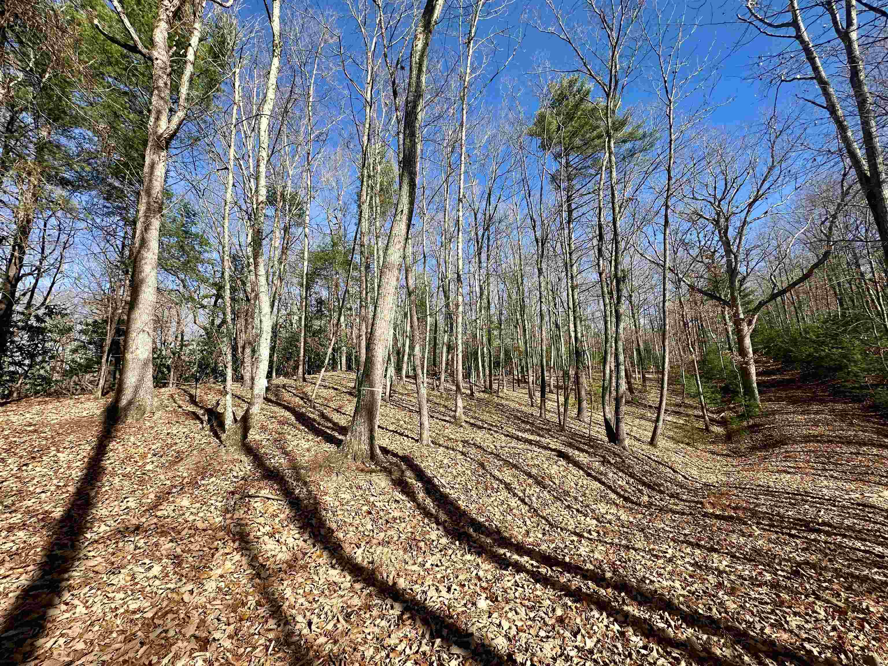 1258 Treetop Ridge Road Blacksburg VA 24060