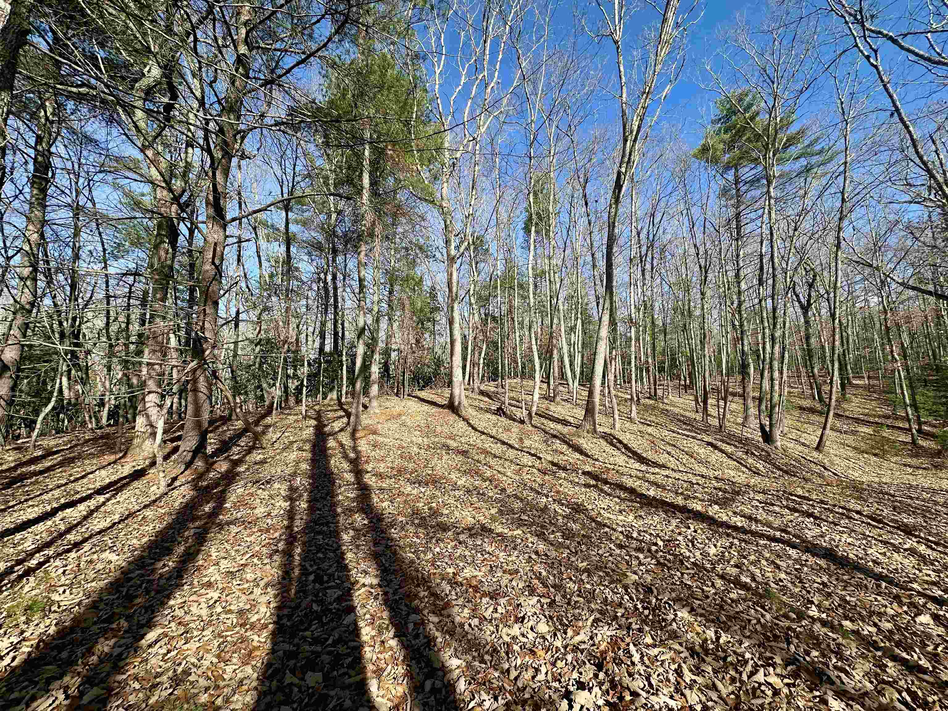 1258 Treetop Ridge Road Blacksburg VA 24060