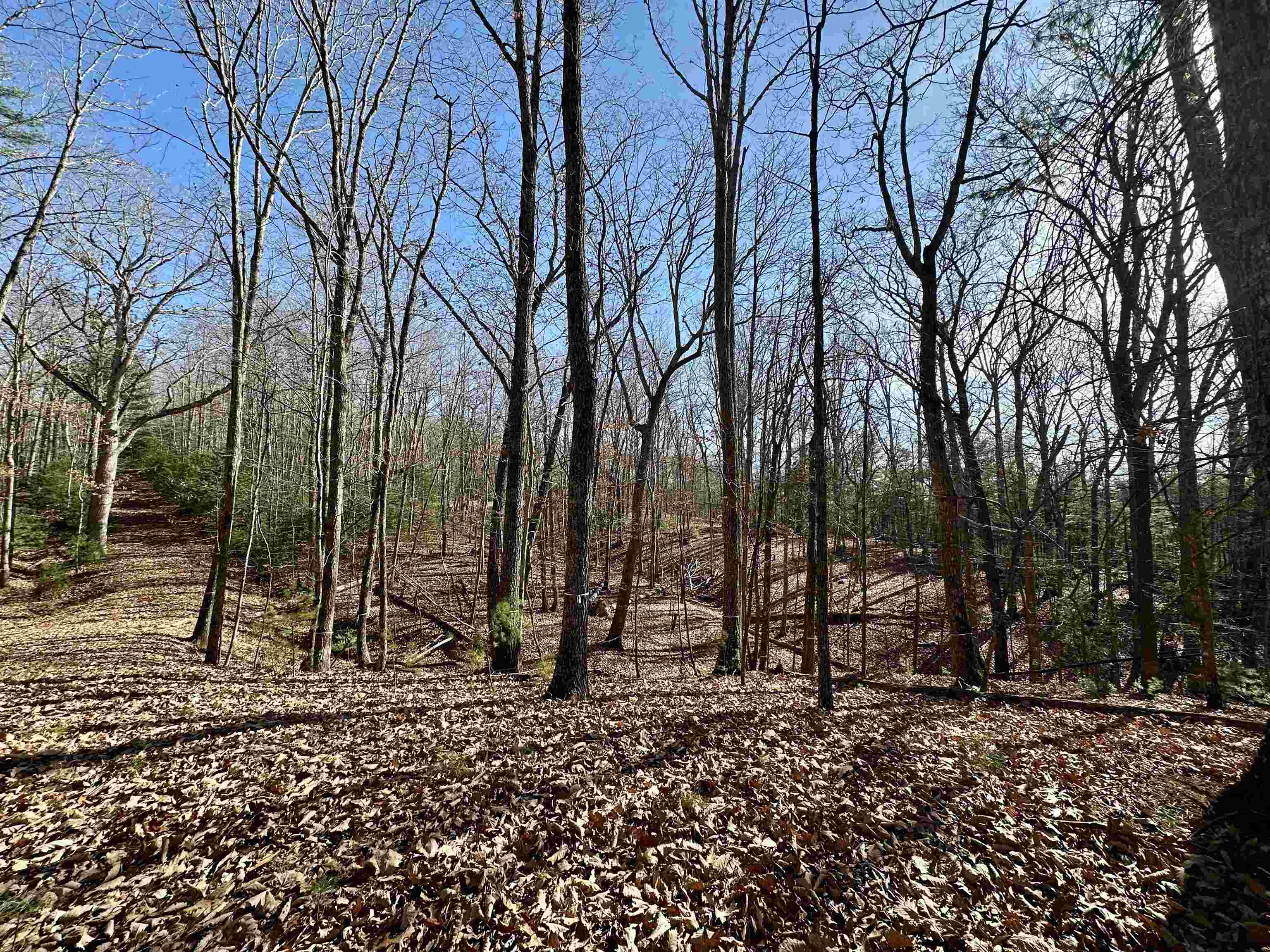 1258 Treetop Ridge Road Blacksburg VA 24060