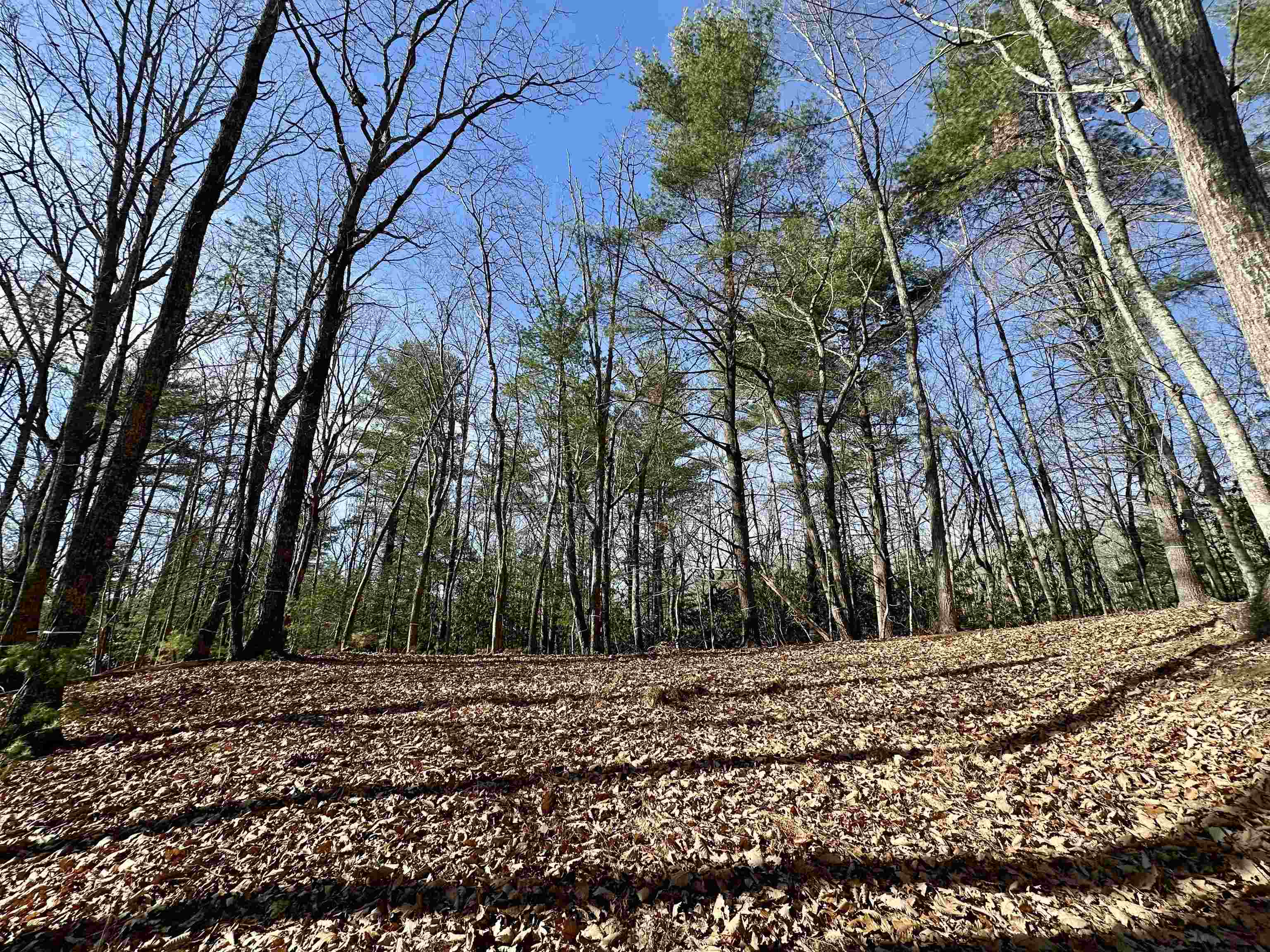 1258 Treetop Ridge Road Blacksburg VA 24060