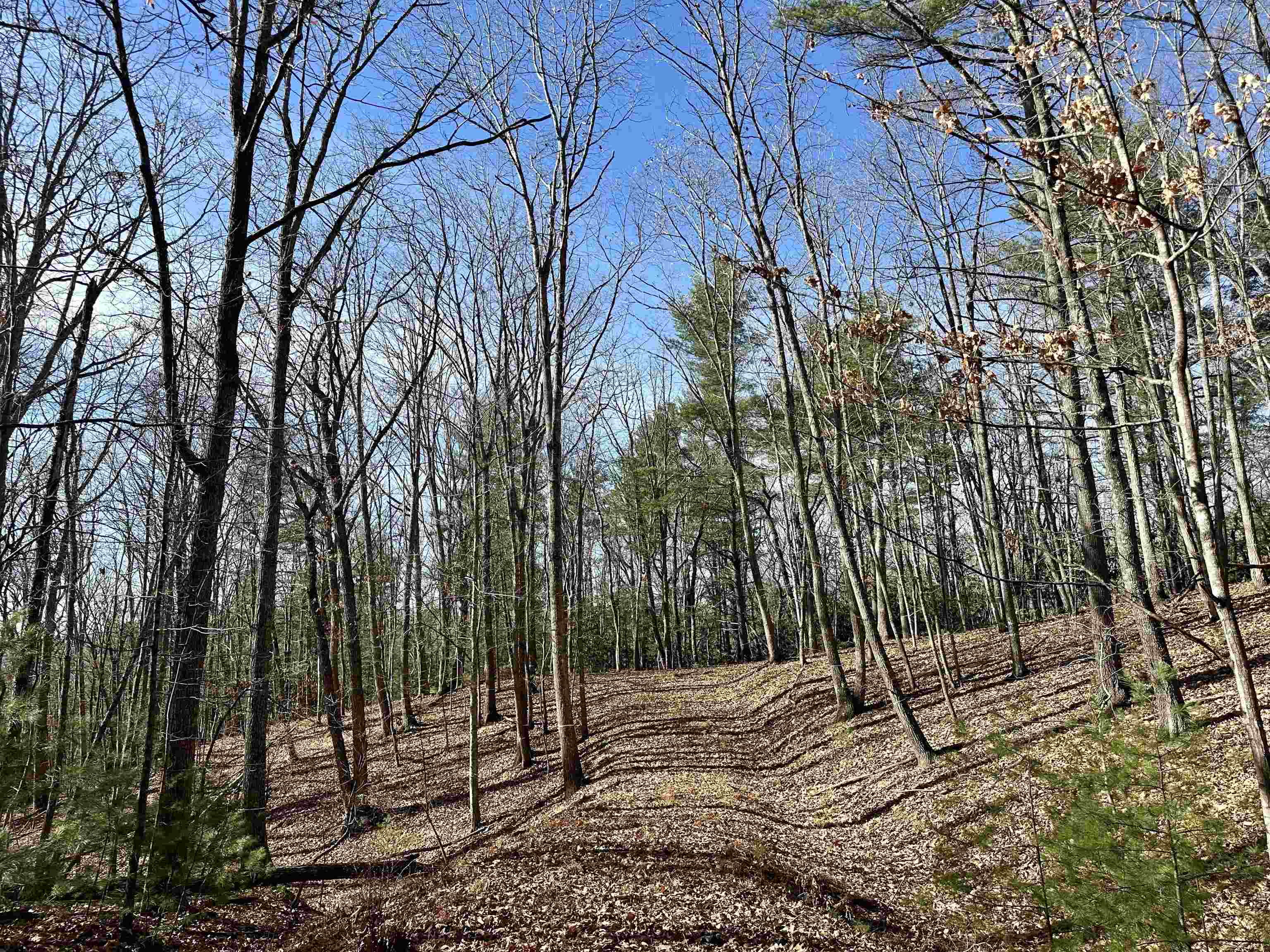 1258 Treetop Ridge Road Blacksburg VA 24060