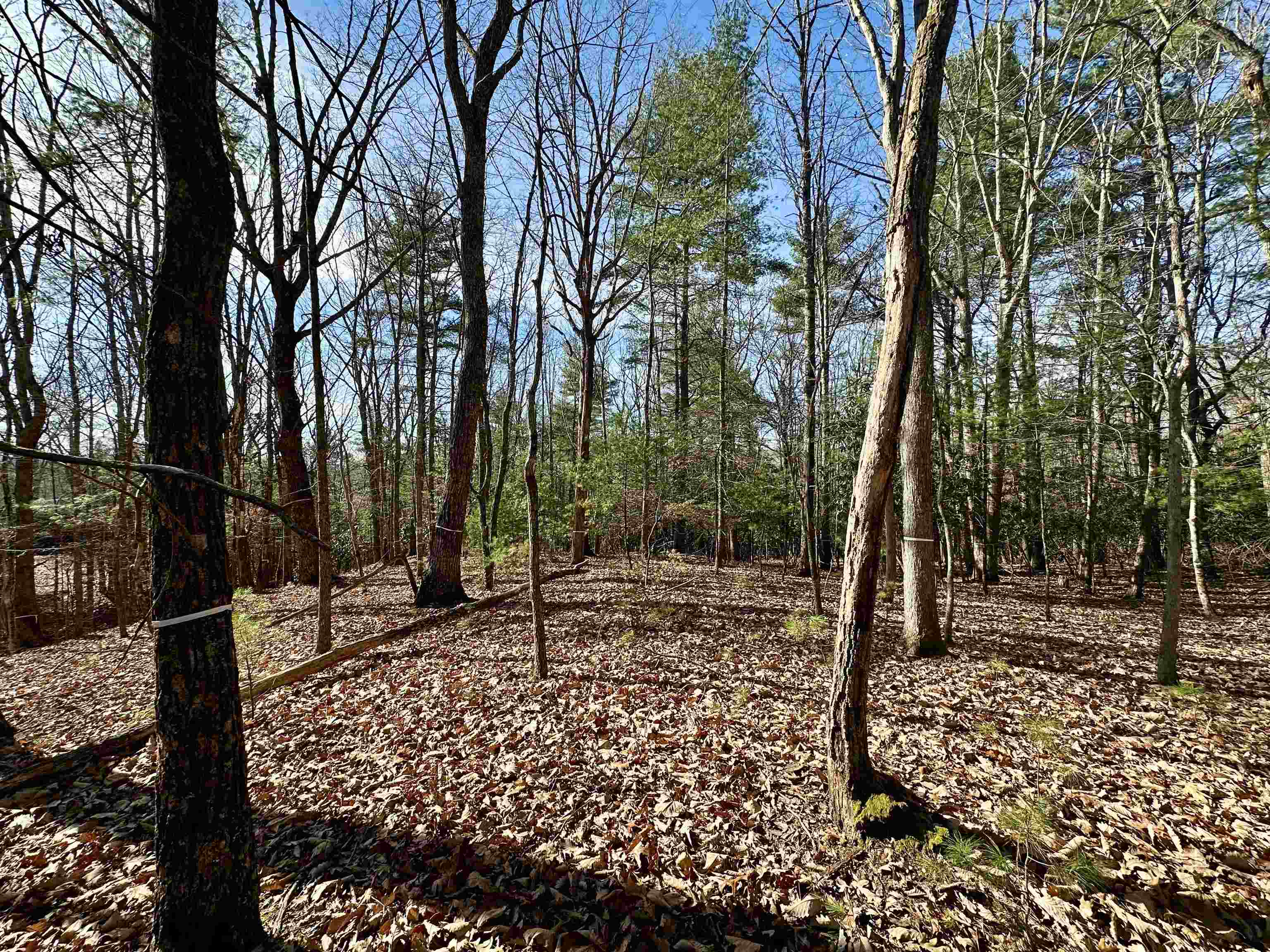 1258 Treetop Ridge Road Blacksburg VA 24060