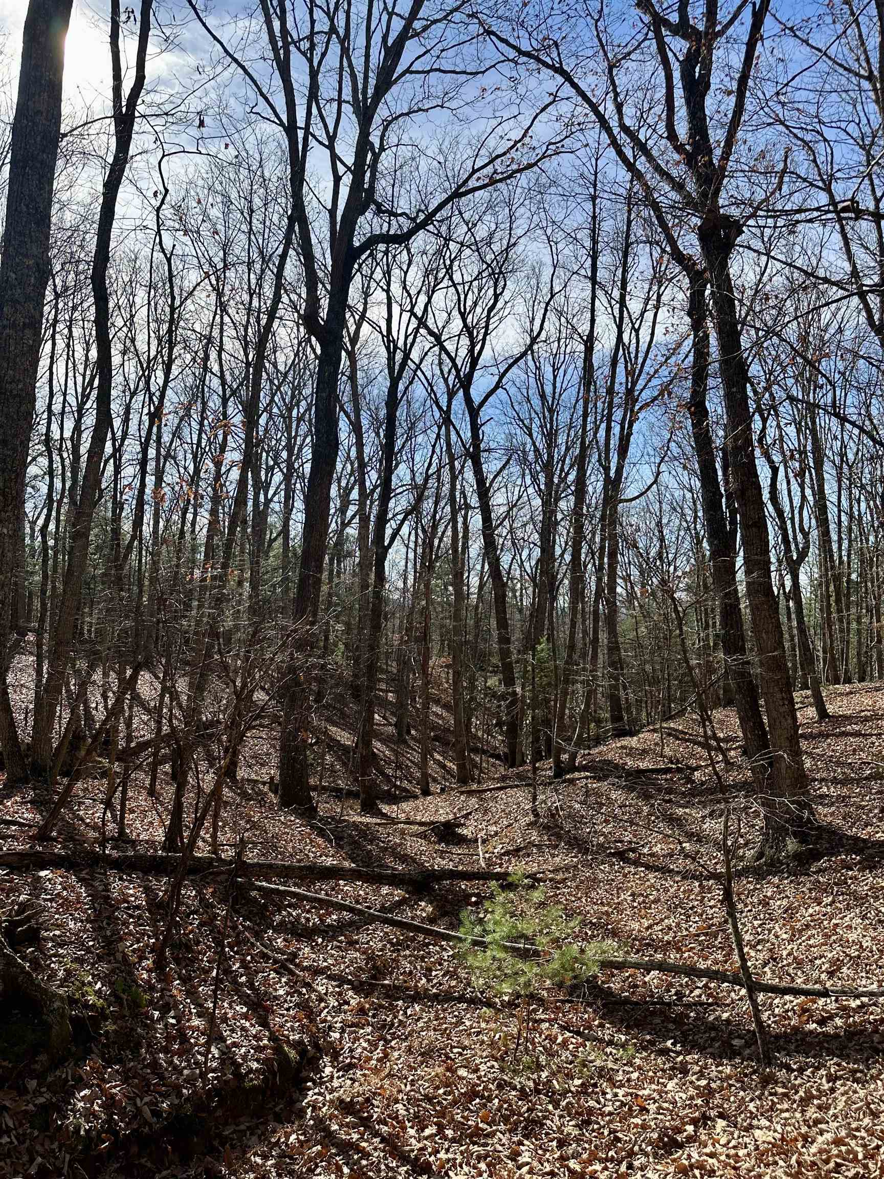 1258 Treetop Ridge Road Blacksburg VA 24060