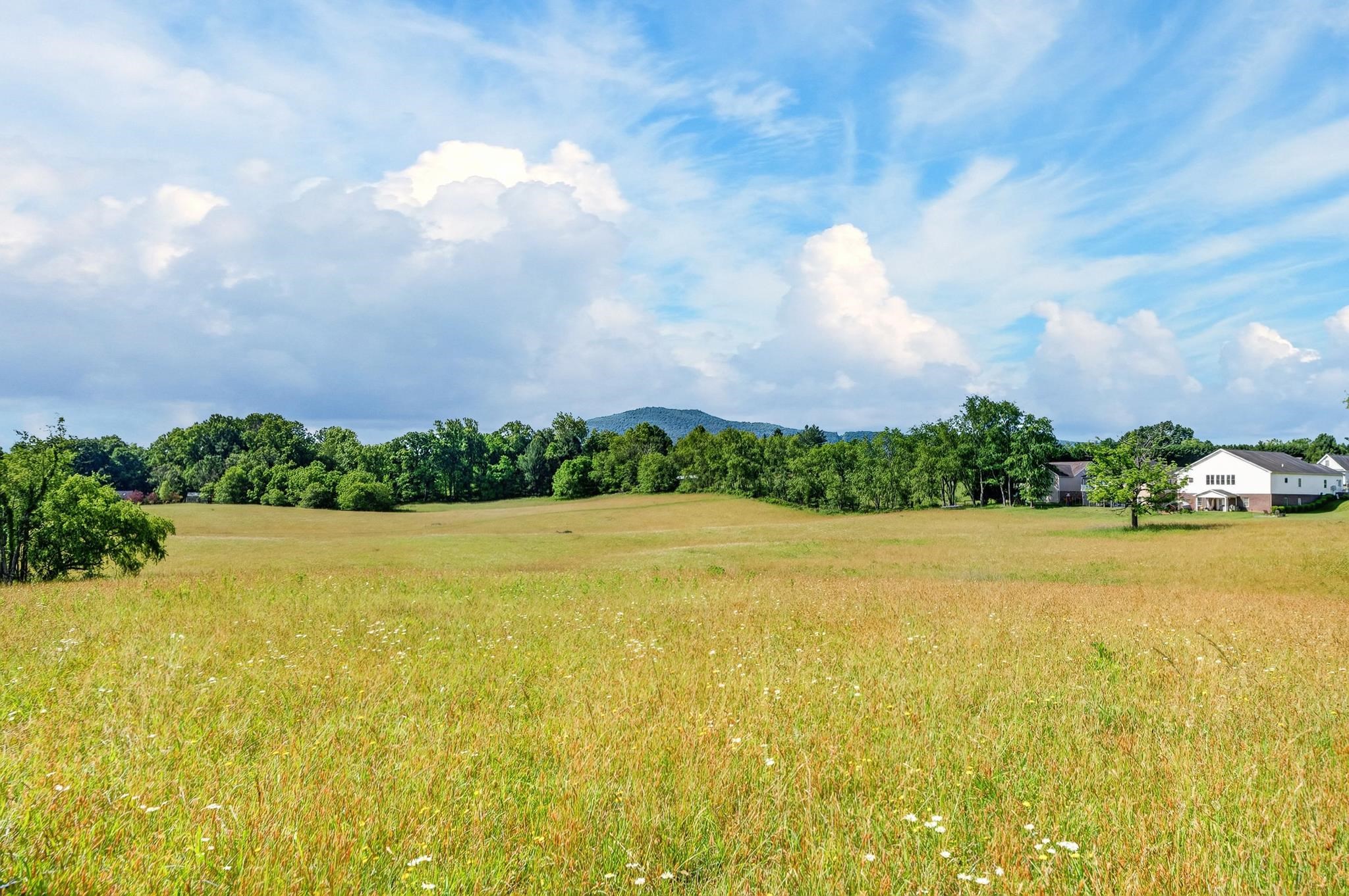 Tbd Beck Lot 2 Lane Pulaski VA 24301