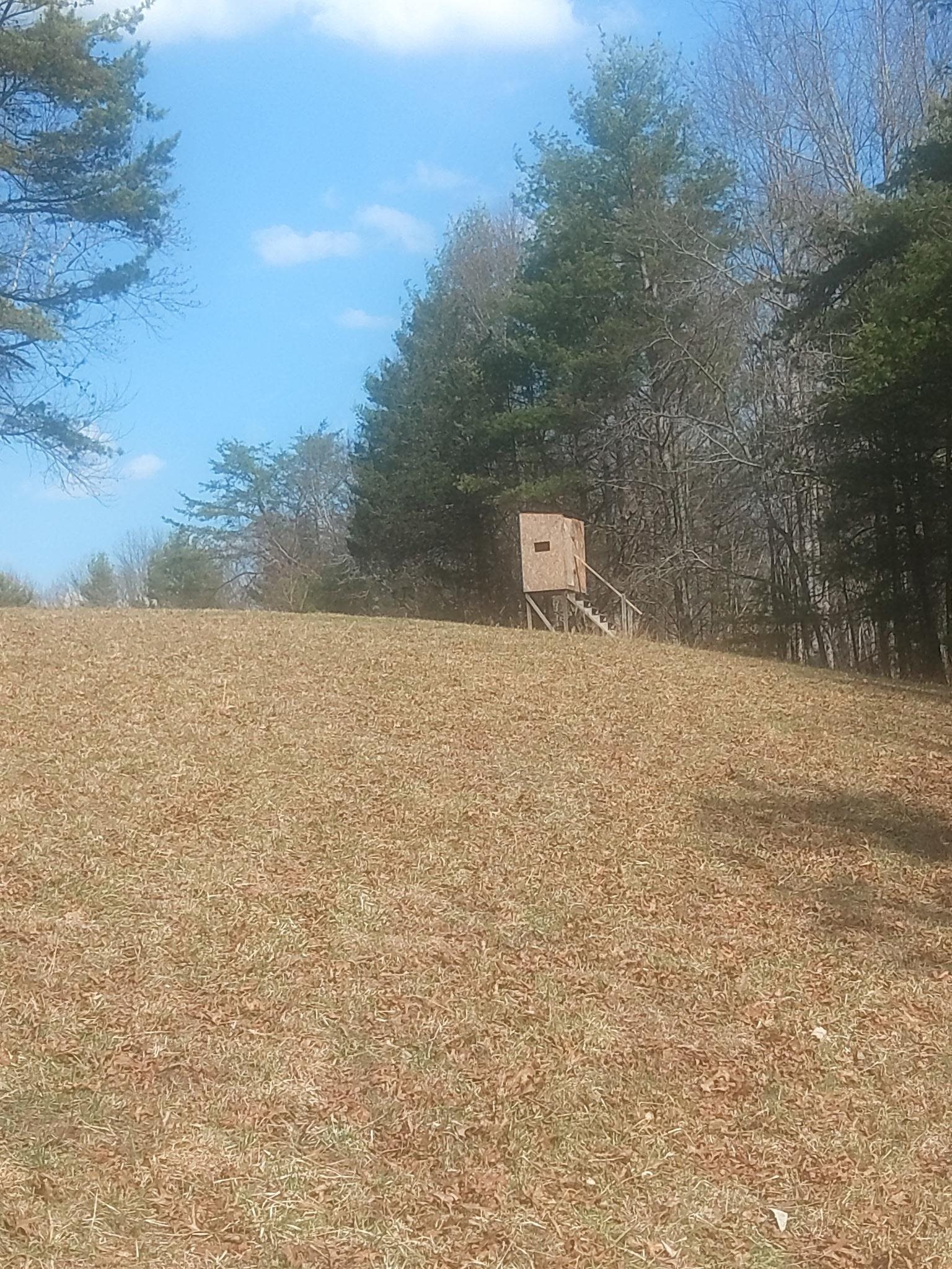 Tbd Dobbins Hollow Road Riner VA 24149