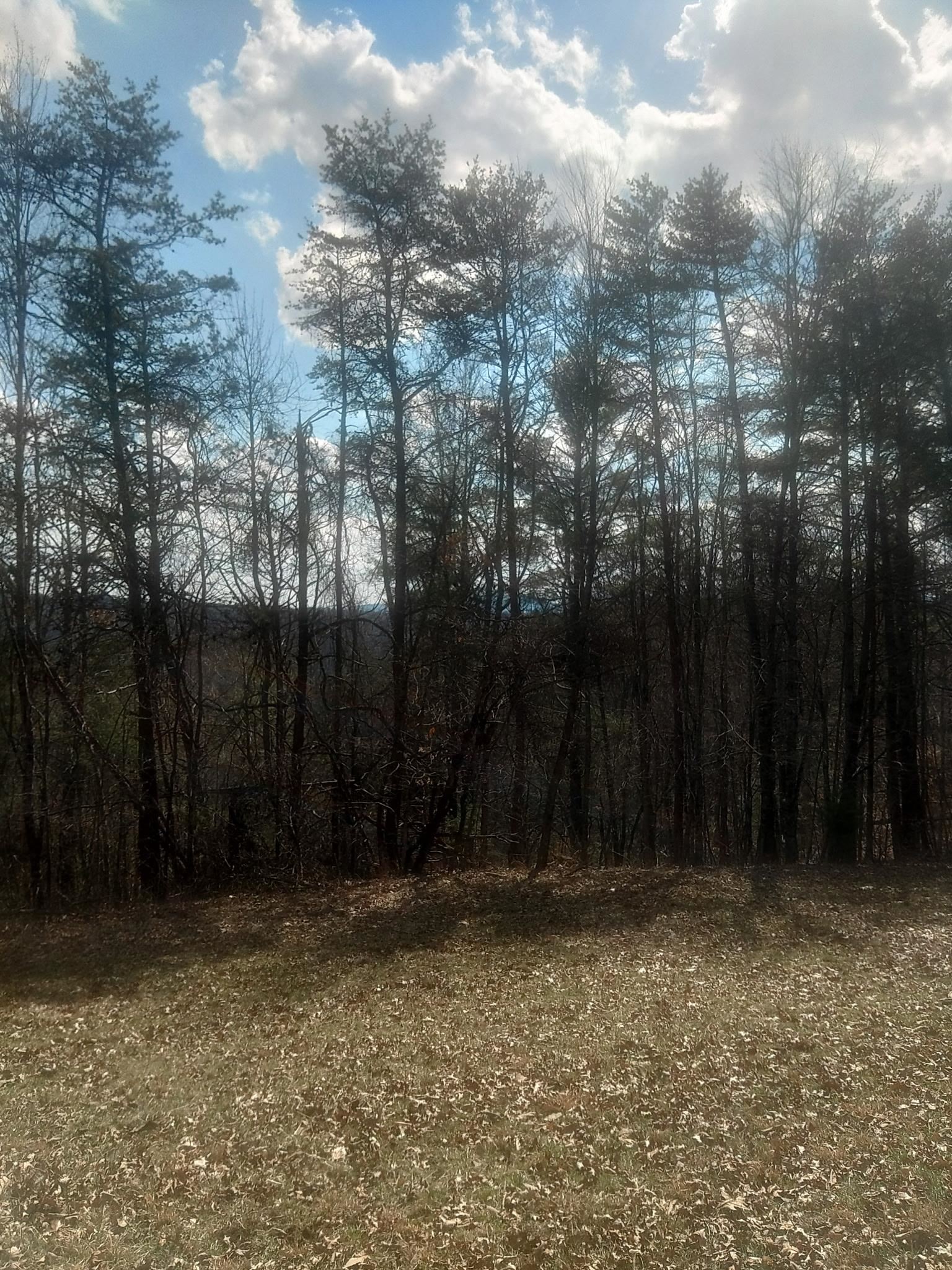 Tbd Dobbins Hollow Road Riner VA 24149