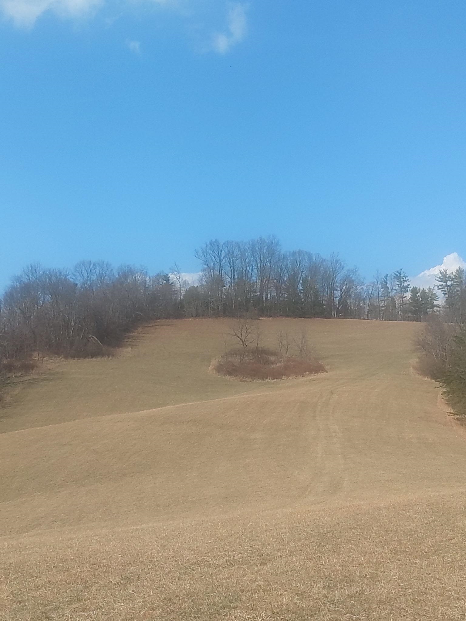 Tbd Dobbins Hollow Road Riner VA 24149
