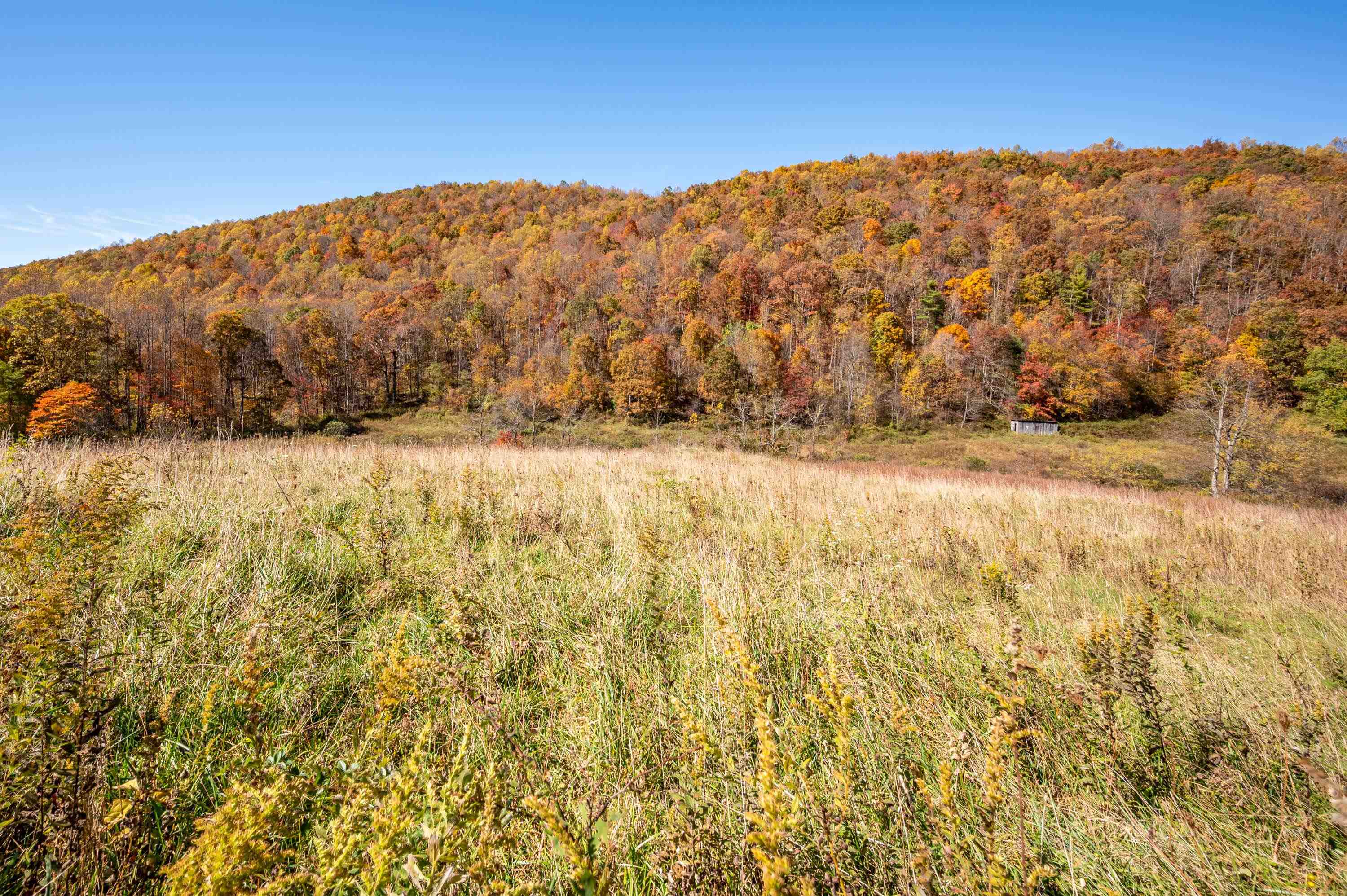 Willis VA, 971 Phadettia Road