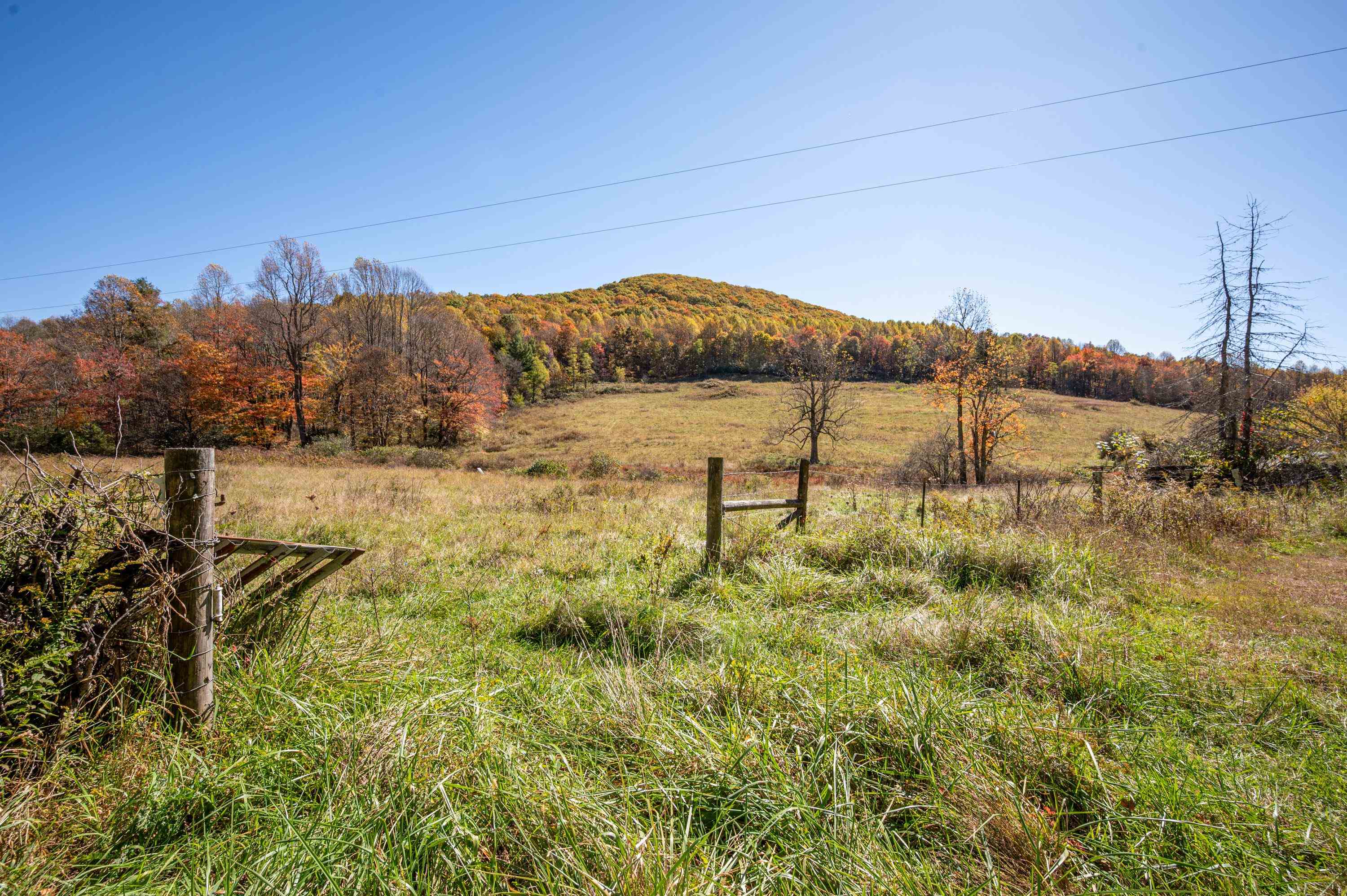 971 Phadettia Road Willis VA 24380