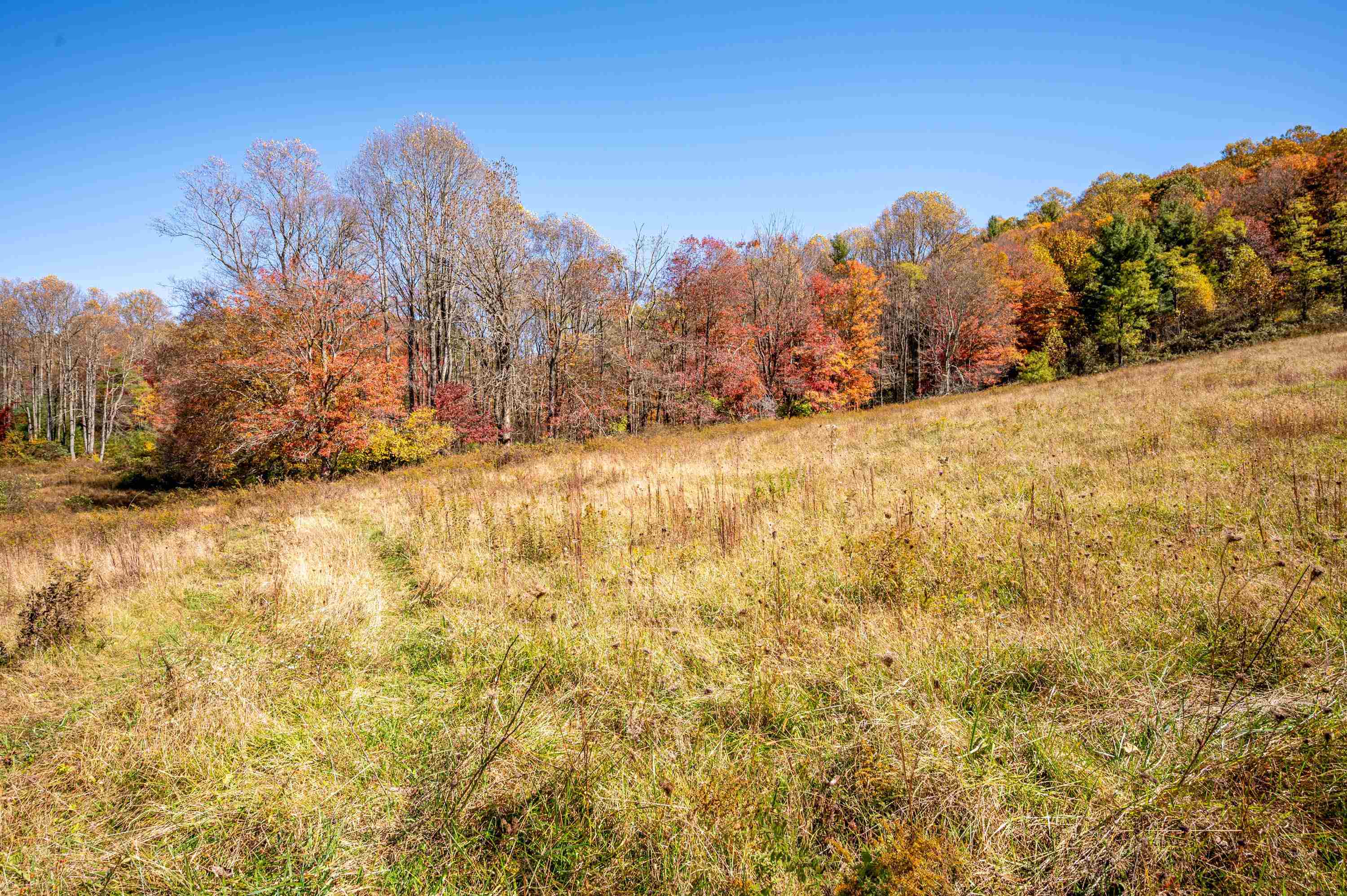 971 Phadettia Road Willis VA 24380