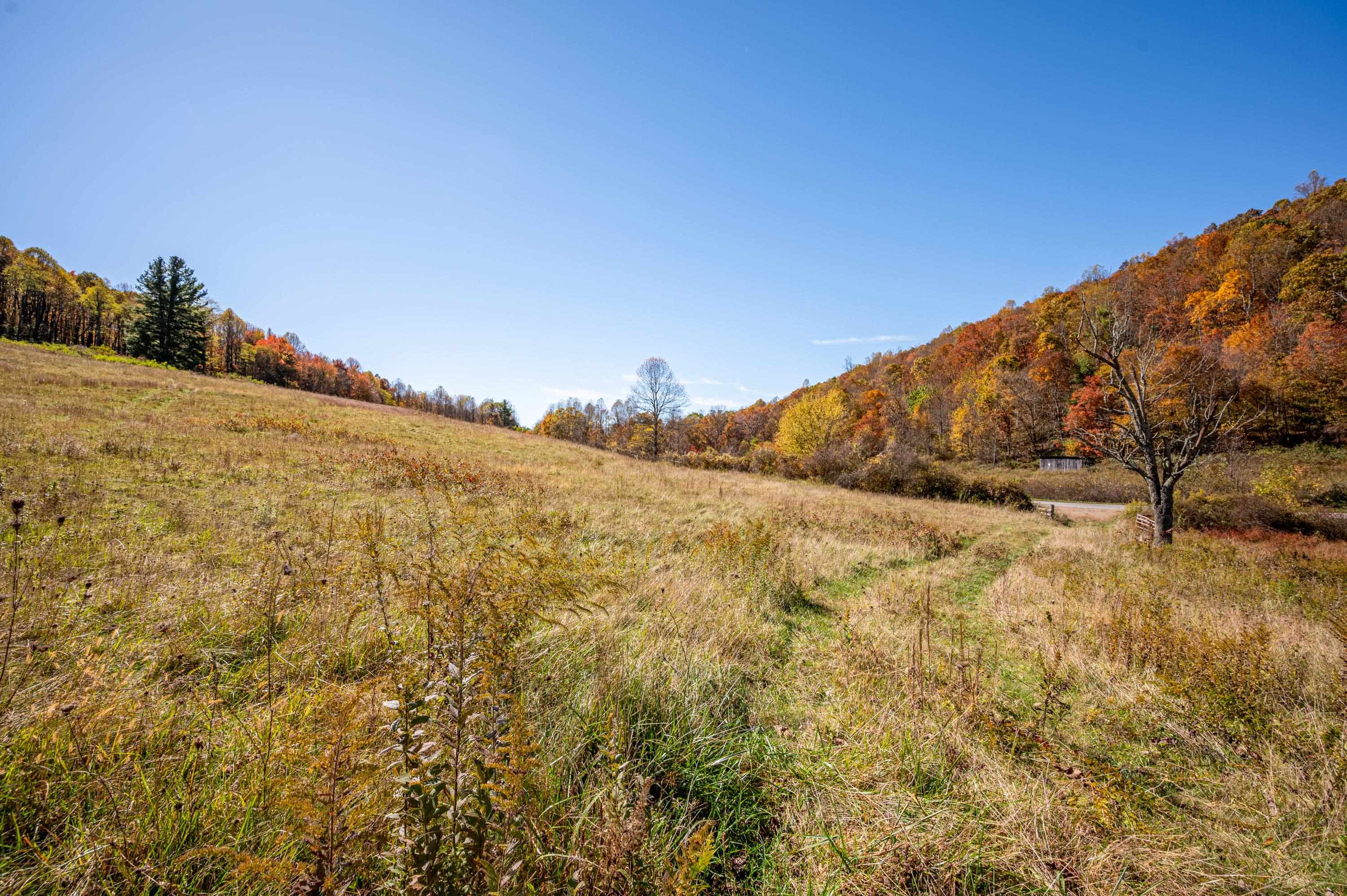 971 Phadettia Road Willis VA 24380