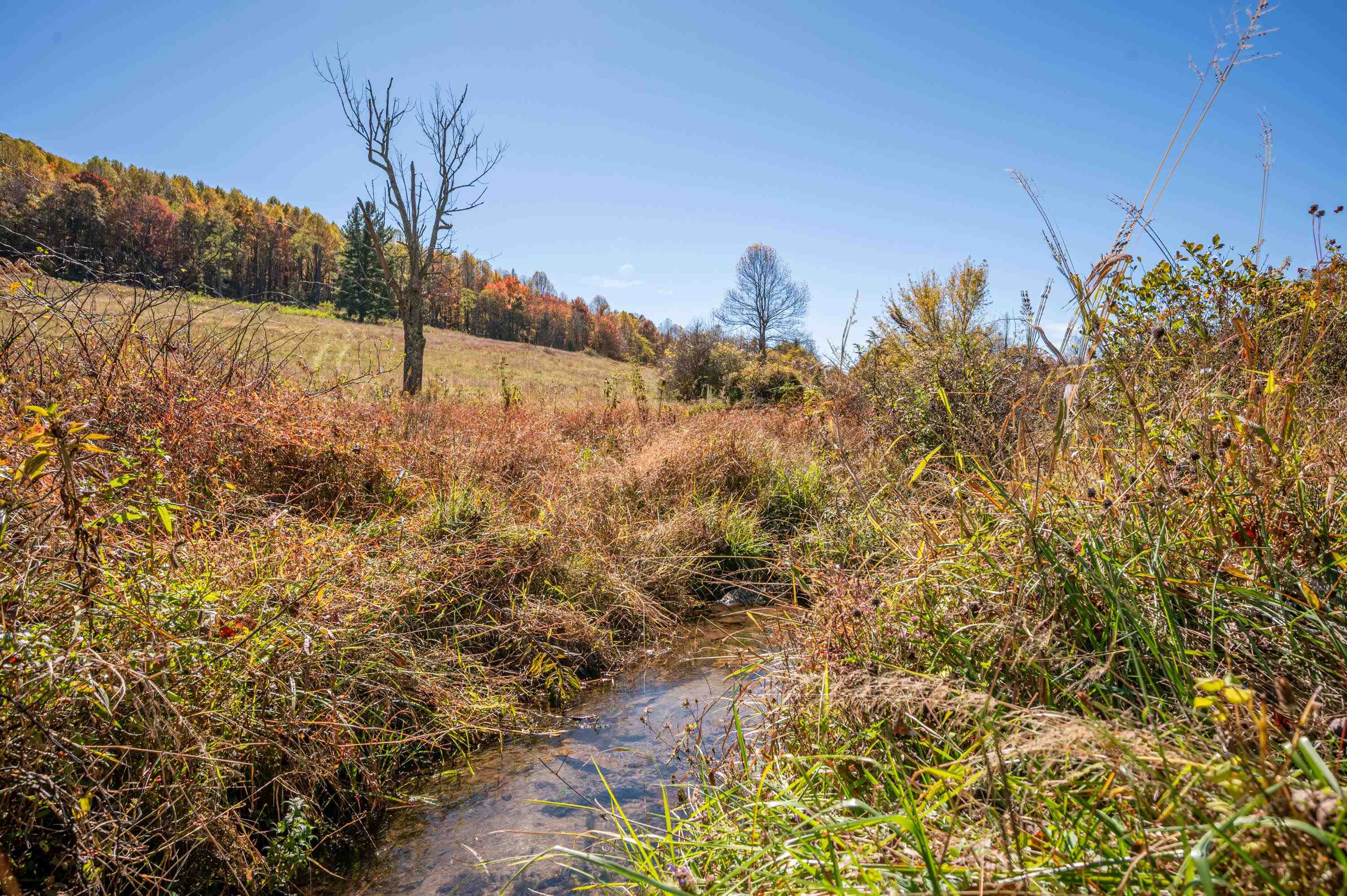 971 Phadettia Road Willis VA 24380