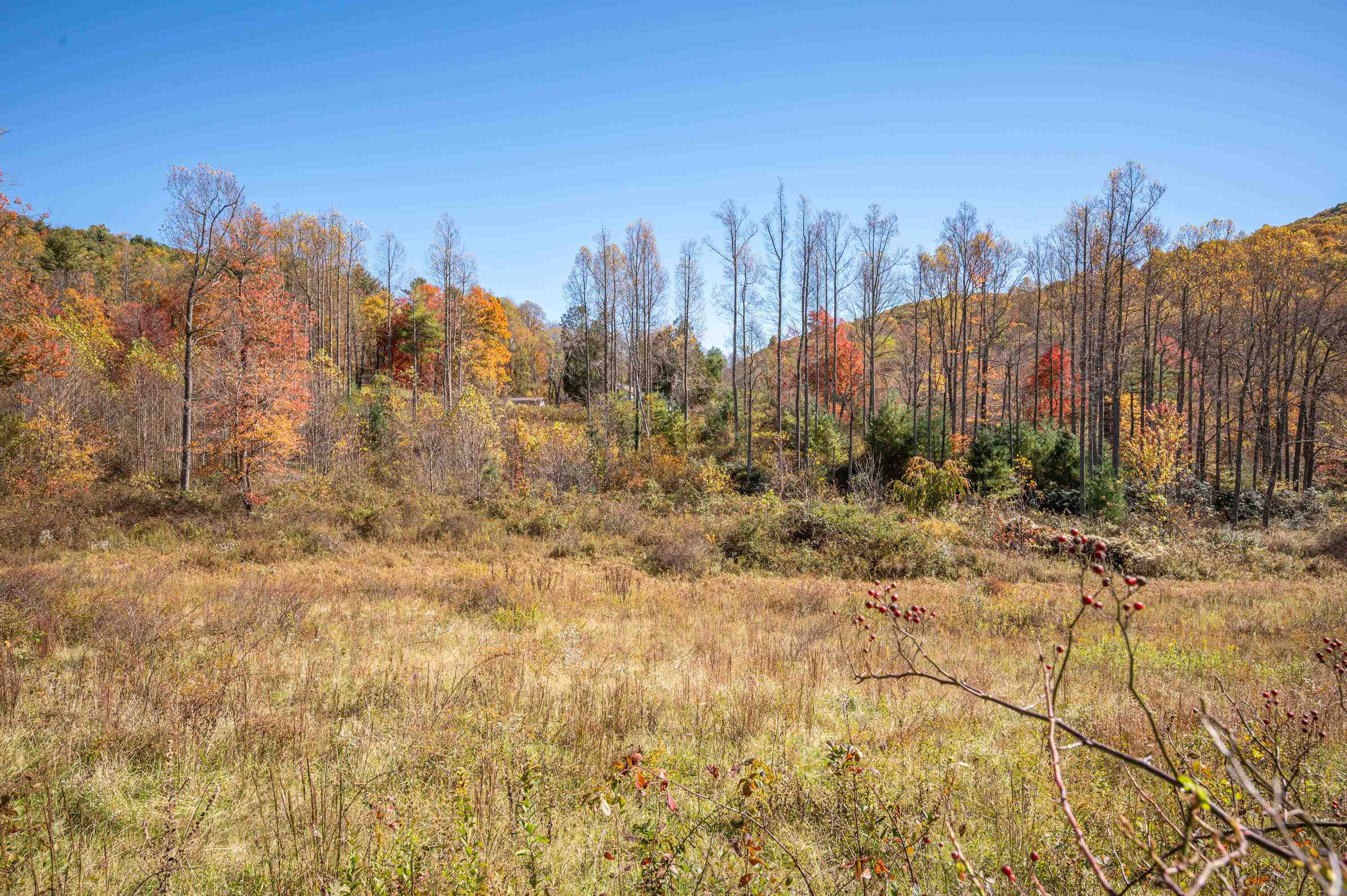 971 Phadettia Road Willis VA 24380