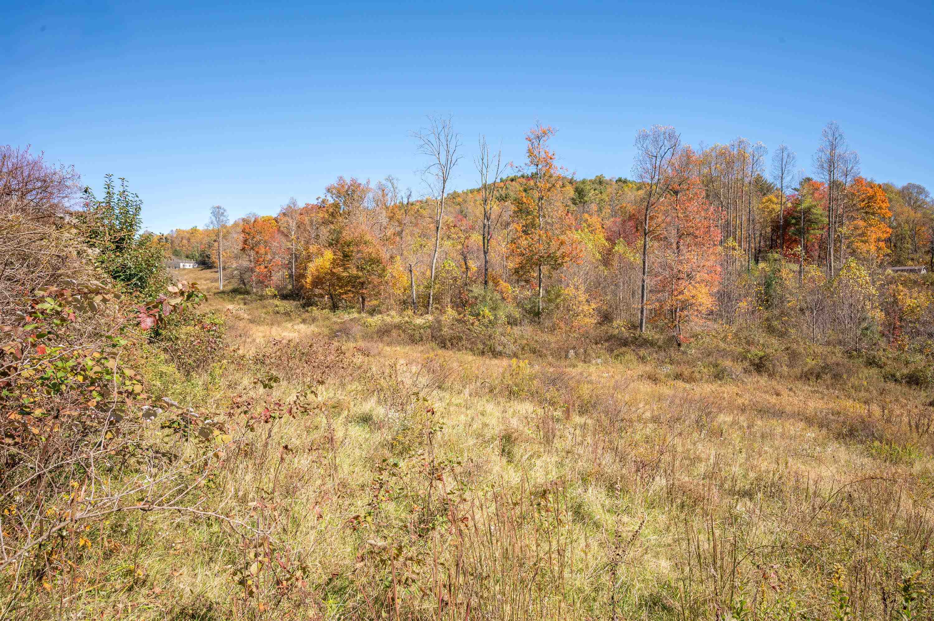 971 Phadettia Road Willis VA 24380