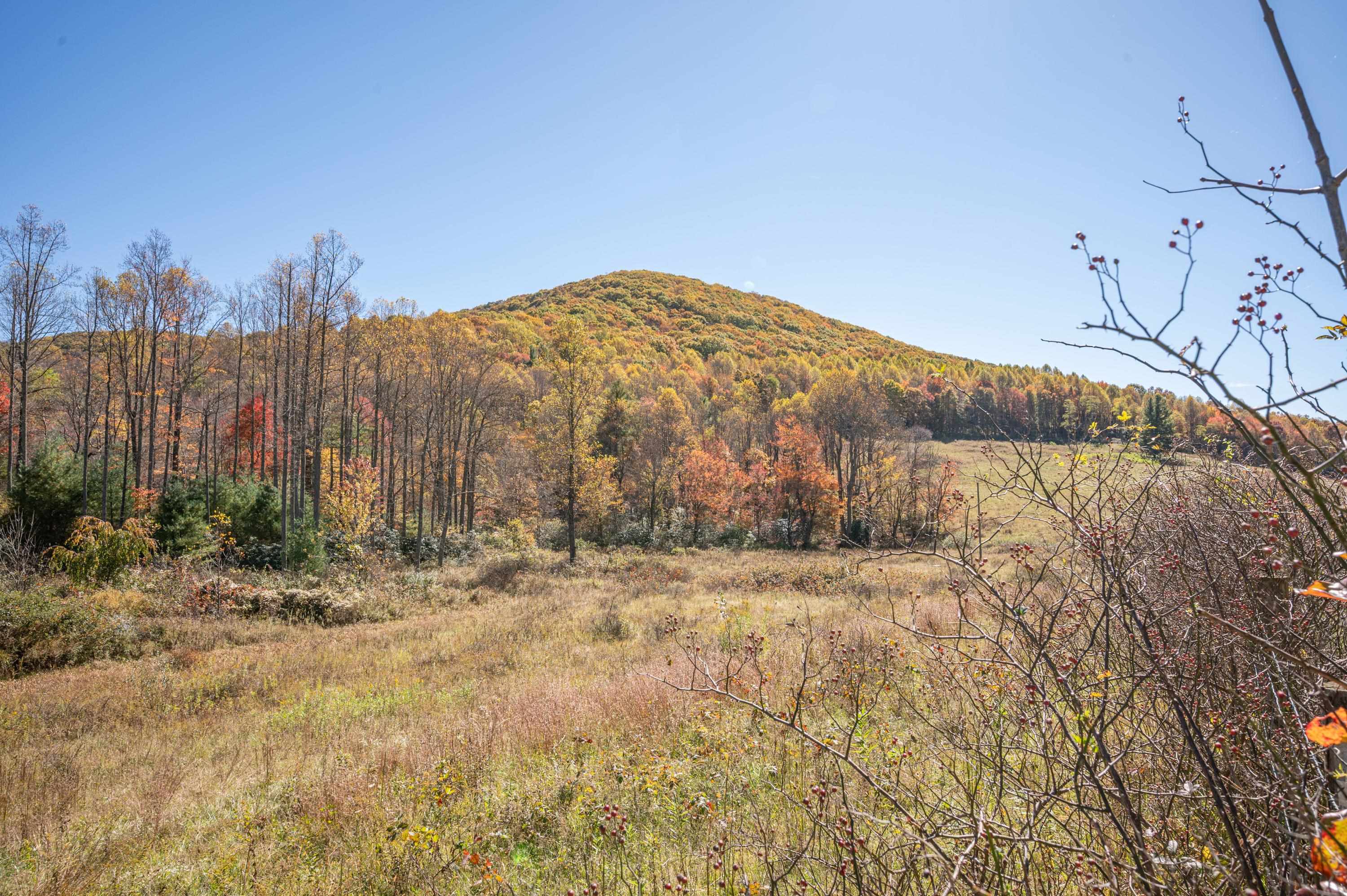 971 Phadettia Road Willis VA 24380