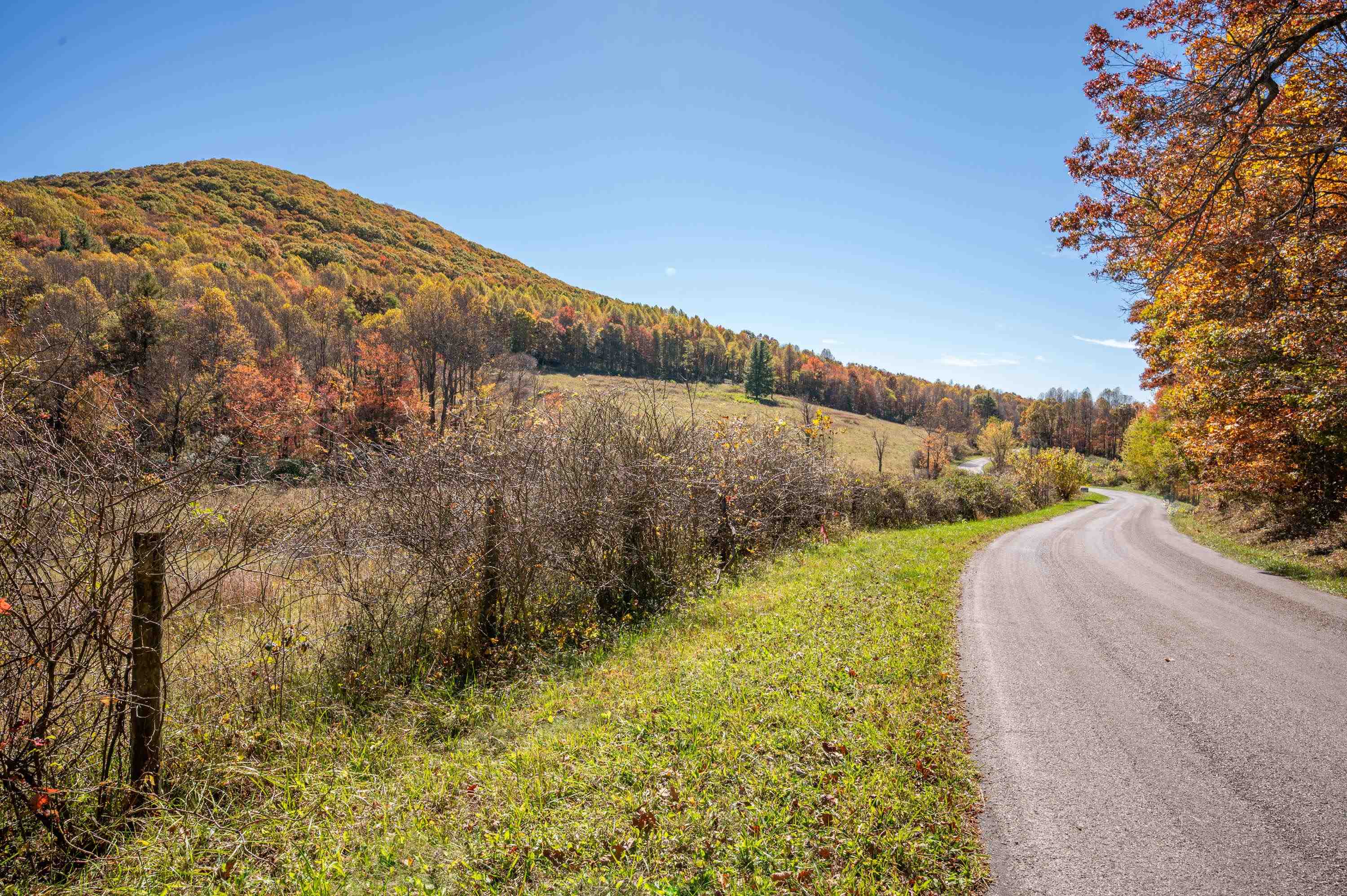 971 Phadettia Road Willis VA 24380