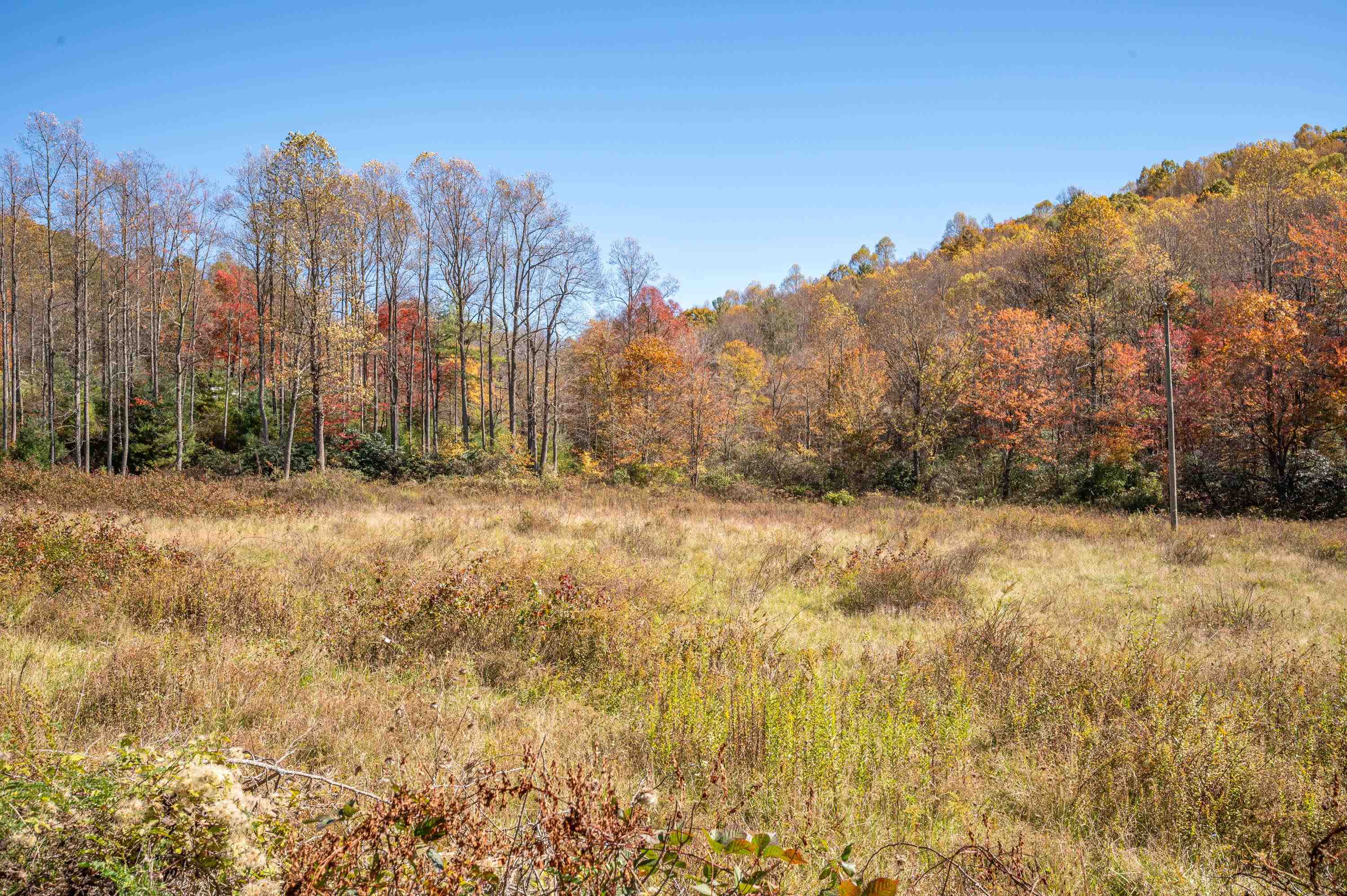 971 Phadettia Road Willis VA 24380