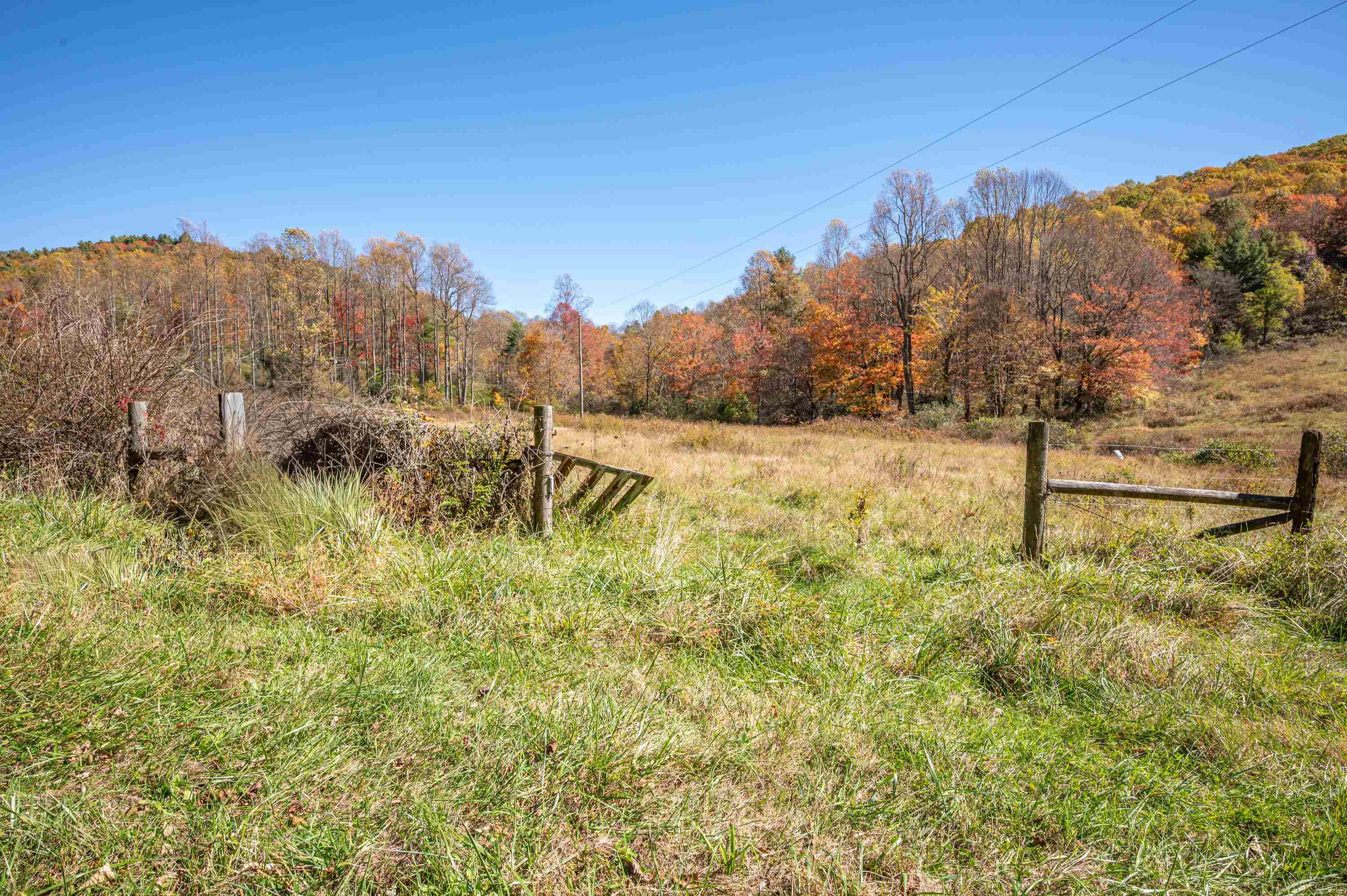 971 Phadettia Road Willis VA 24380