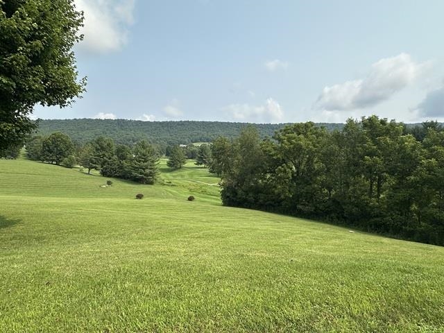 2728 Eagle Drive Draper VA 24324