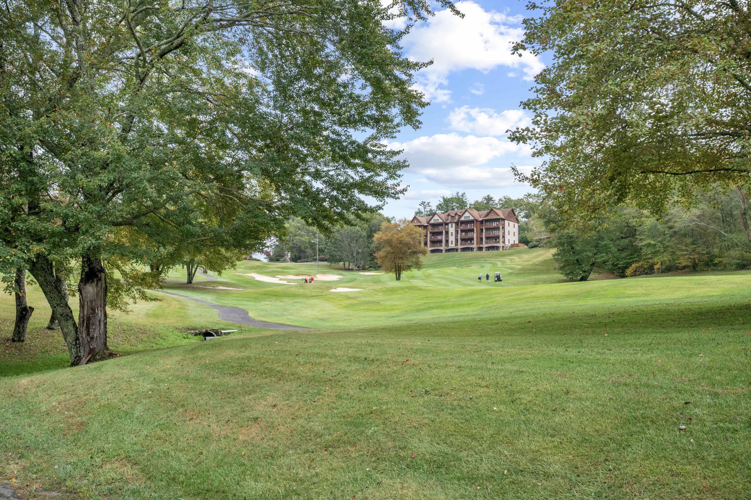 487 Dry Twig Road Laurel Fork VA 24352