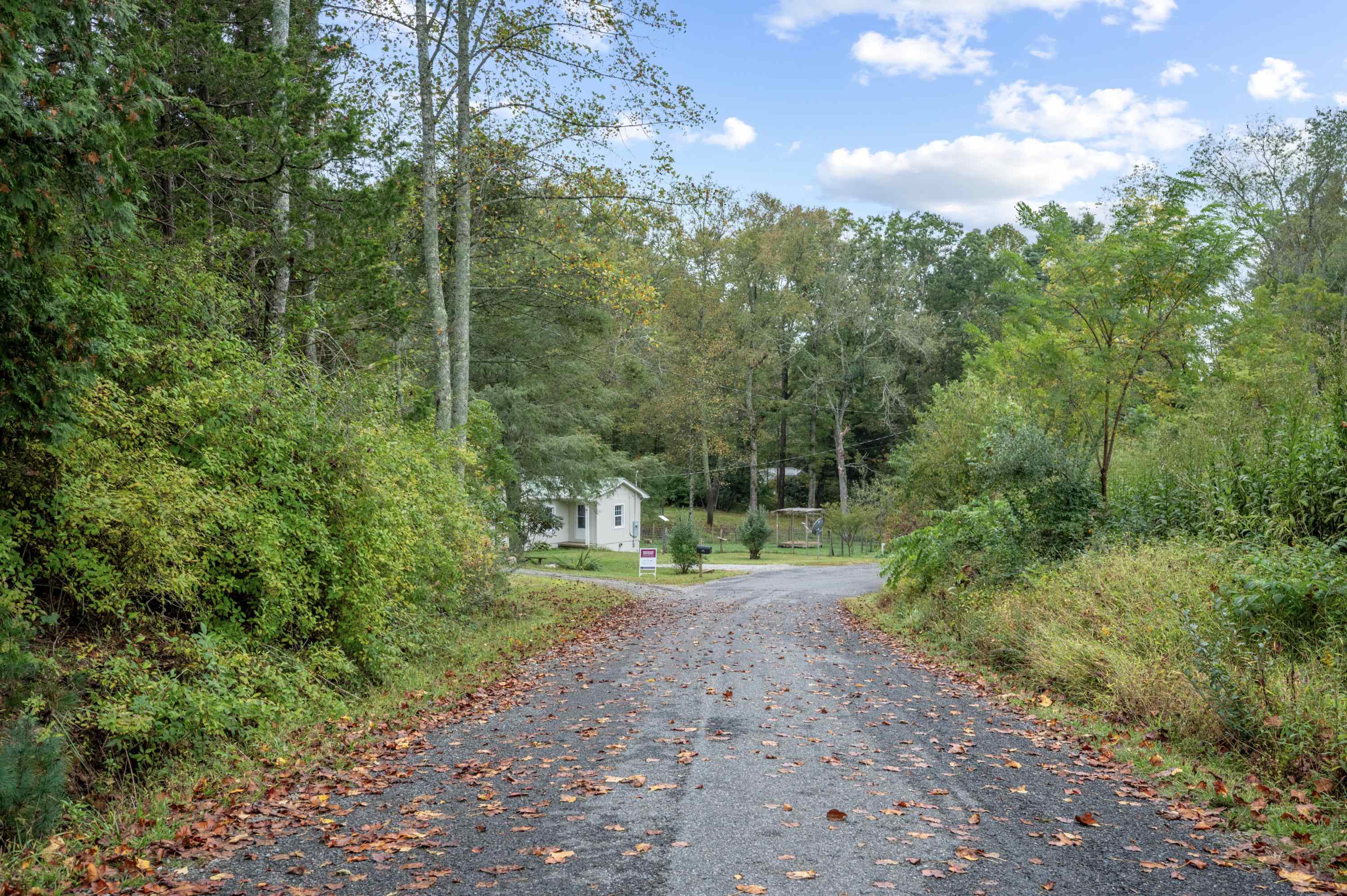 487 Dry Twig Road Laurel Fork VA 24352